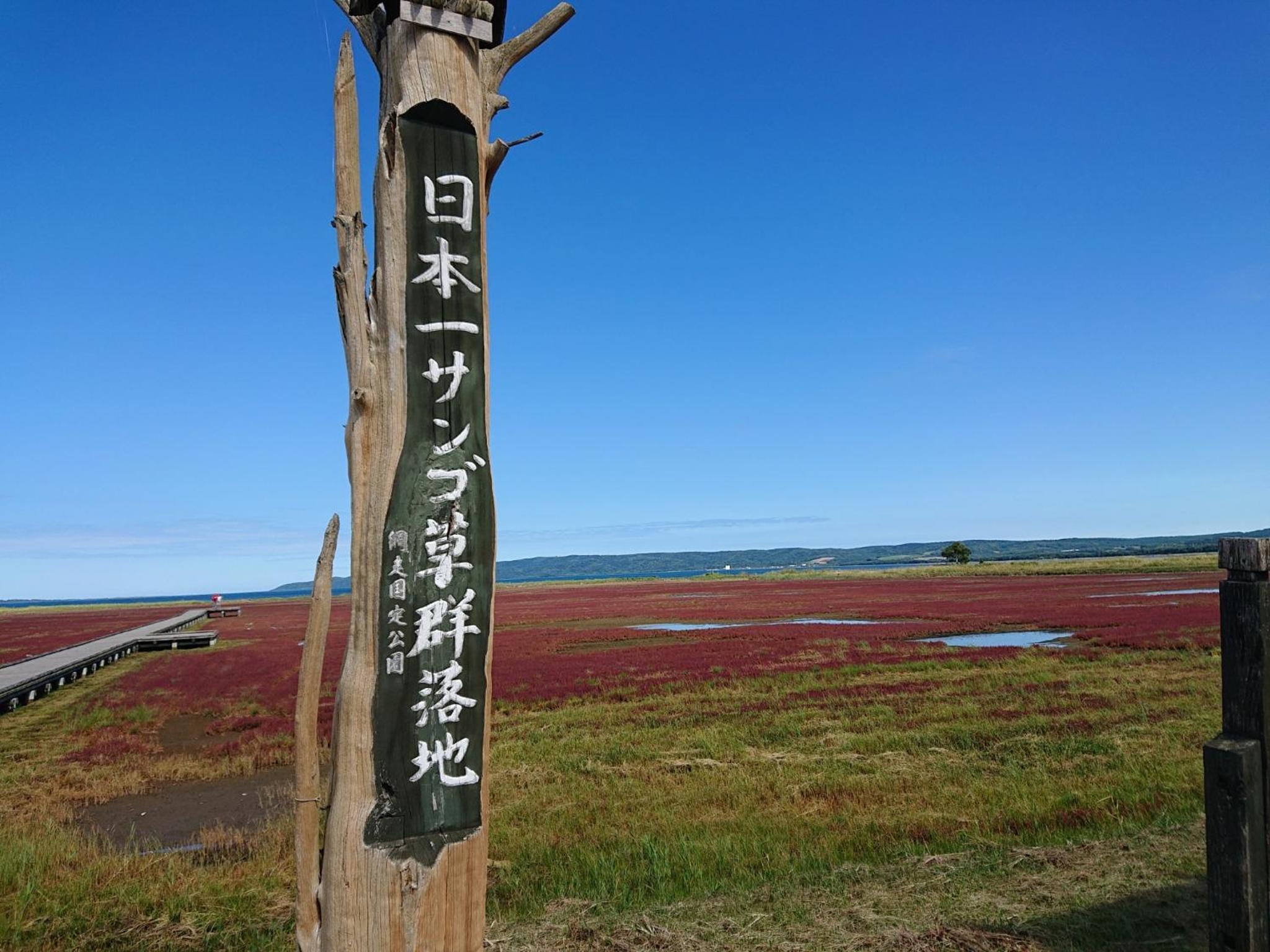 Photo 31