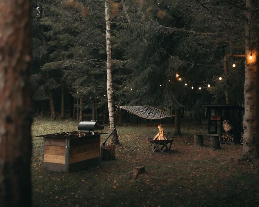 Briežu Stacija Forest Cabin with Hot Tub view 2