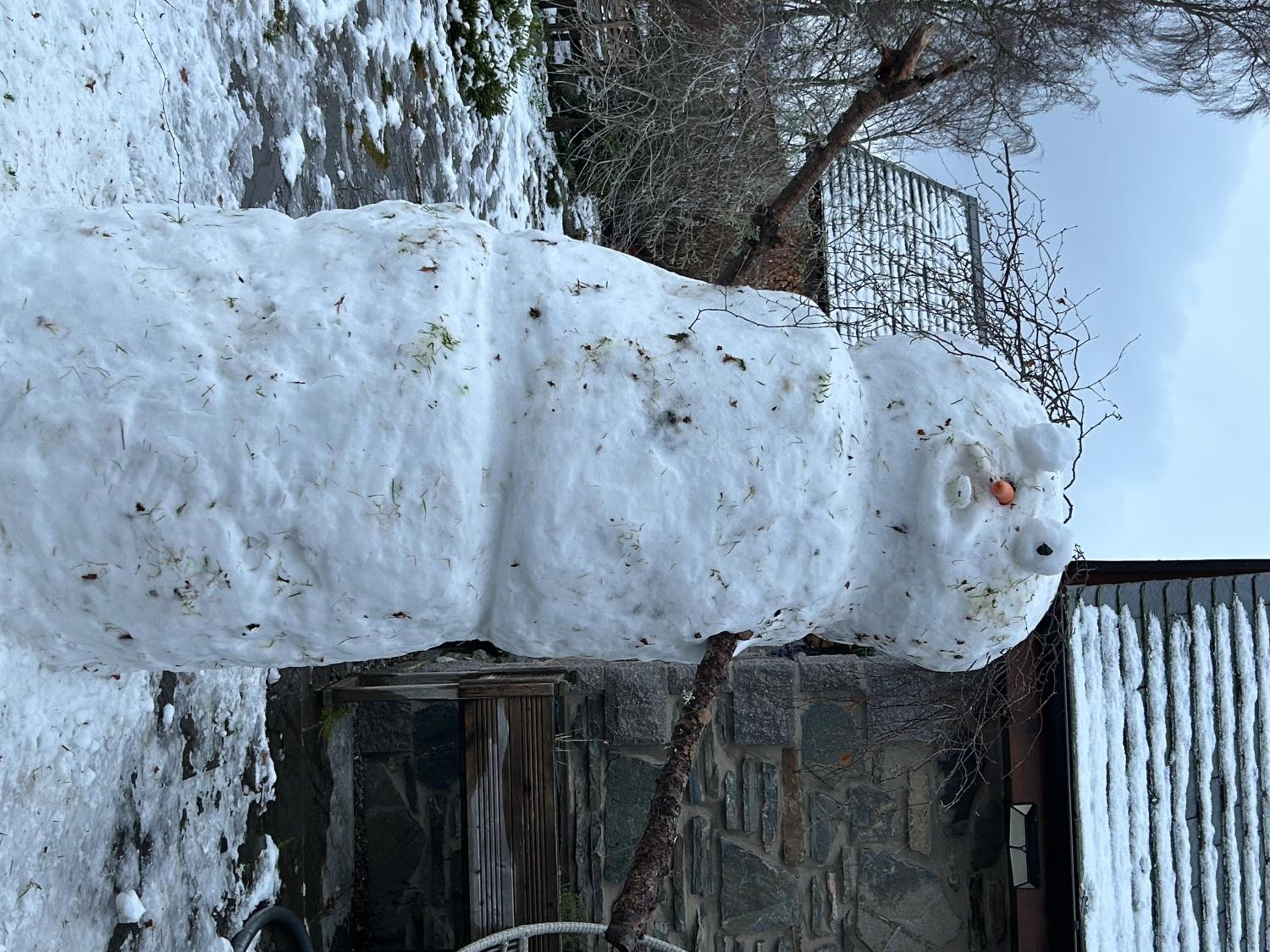 Drumguish Cottage