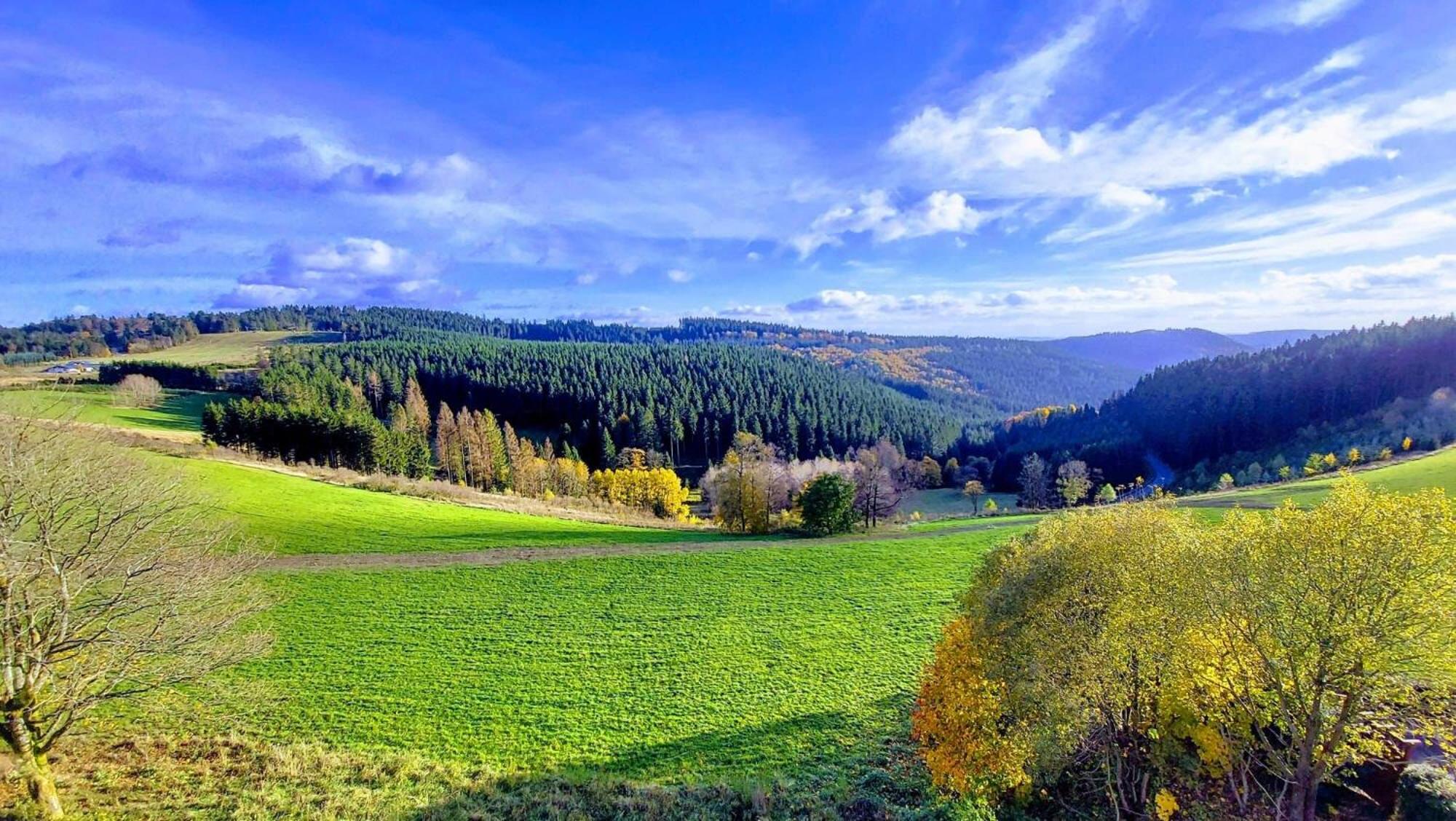 Wellness Appartement Winterberg E2