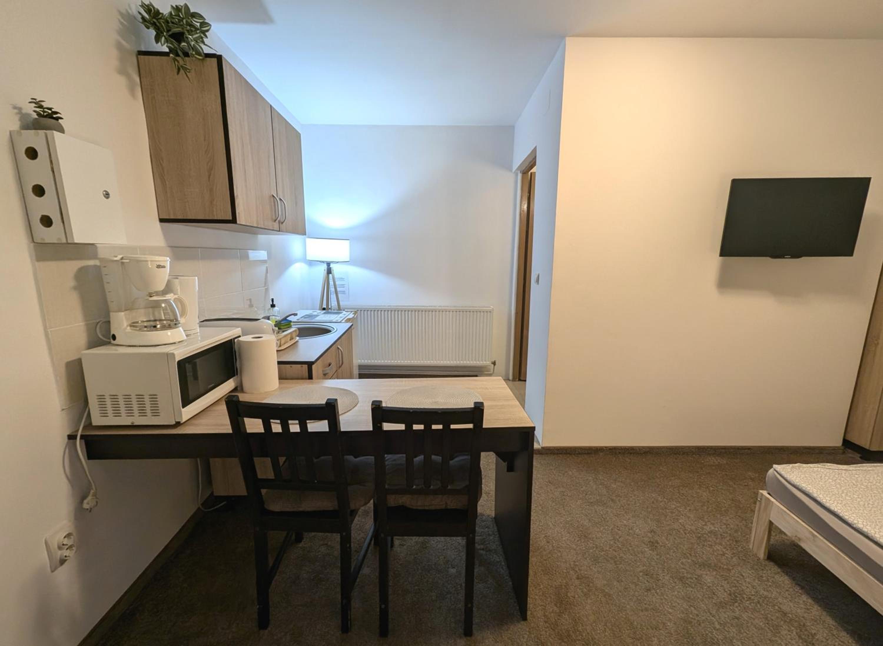 Sandor Central Studio Apartment view 4