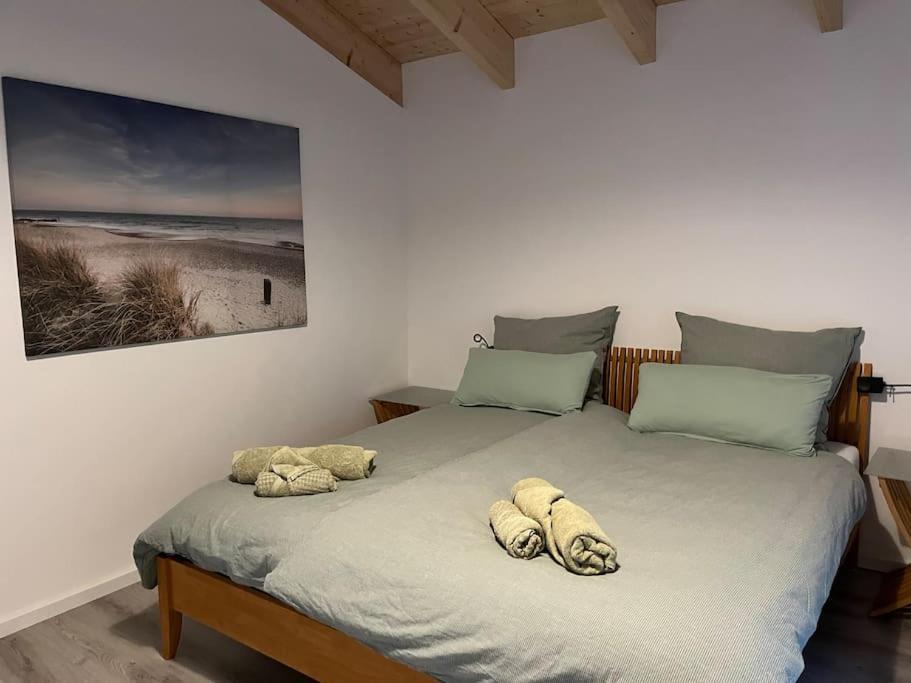 Neues Holzhaus am Steinhuder Meer