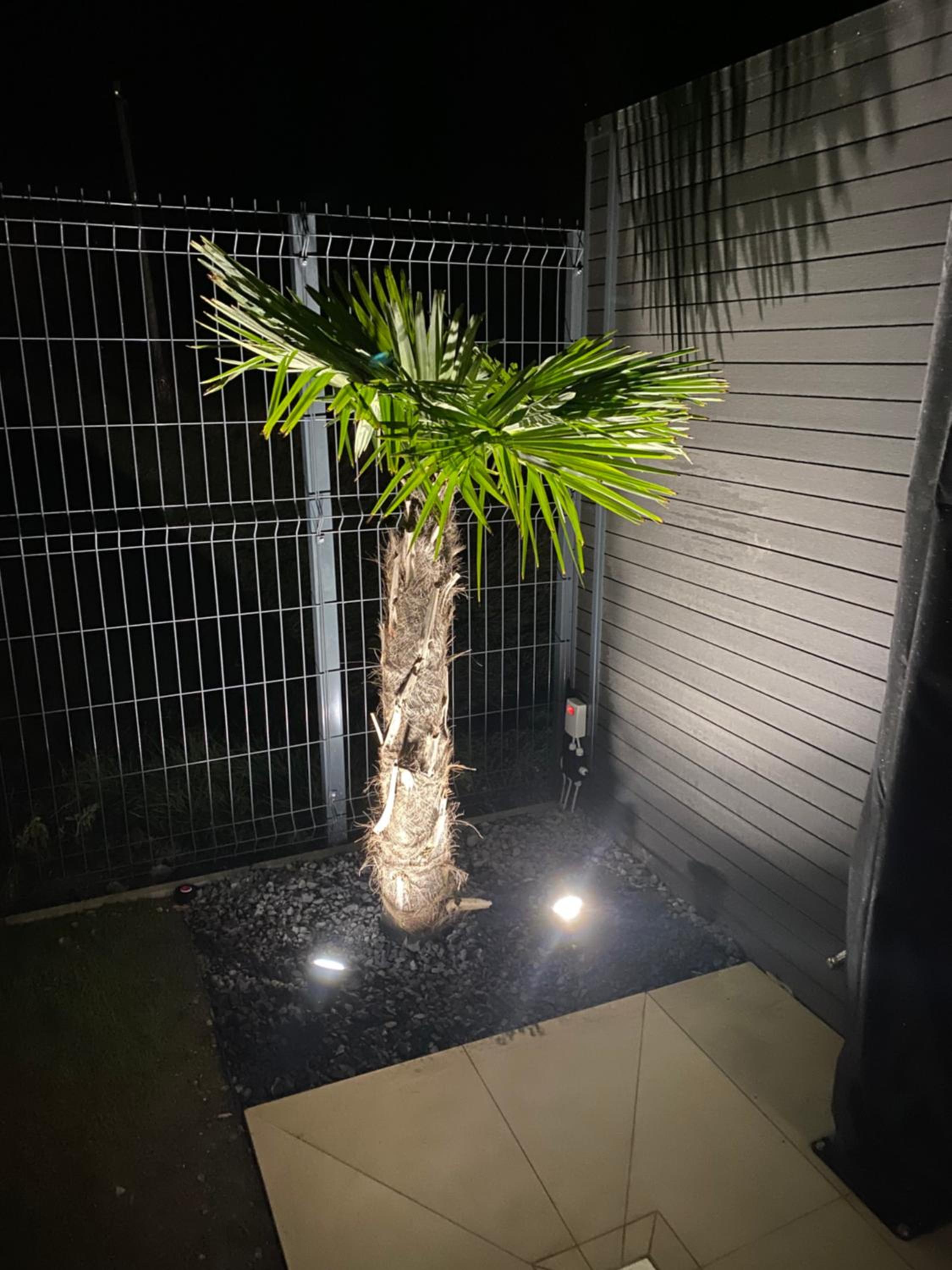 Waikiki Apartman House with Jacuzzi