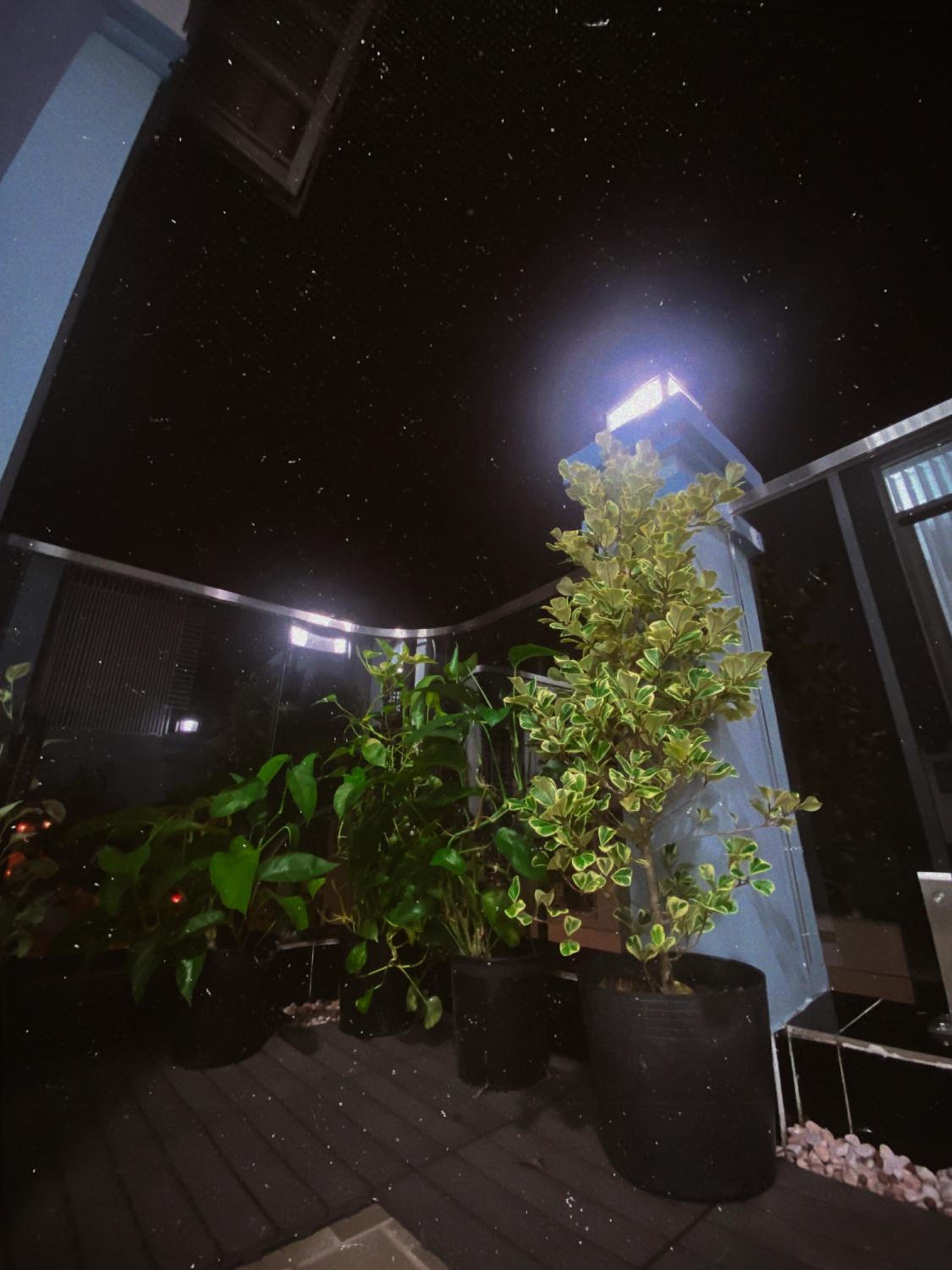 SAIGONESE Studio
