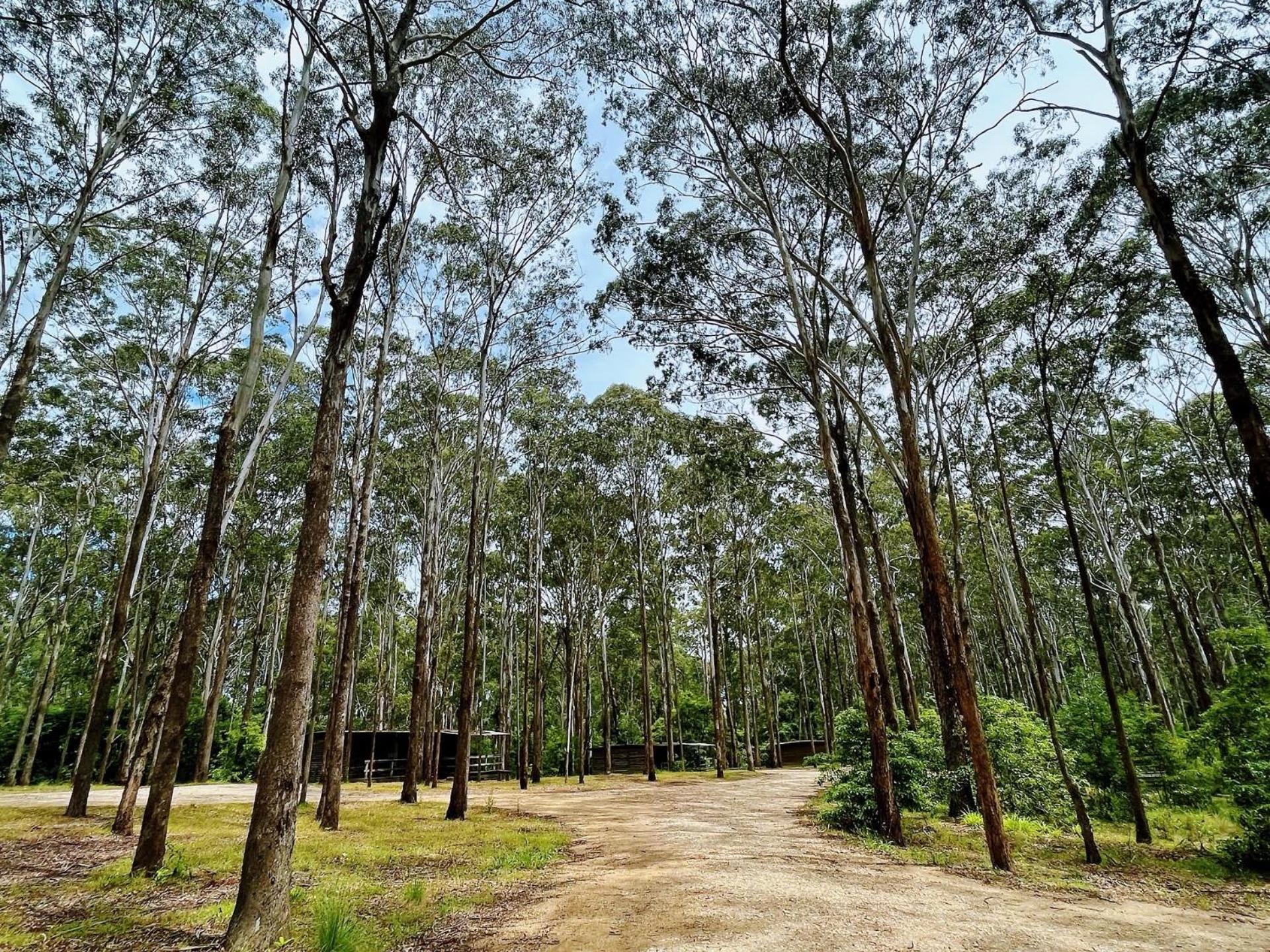 Lakes Entrance Log Cabins