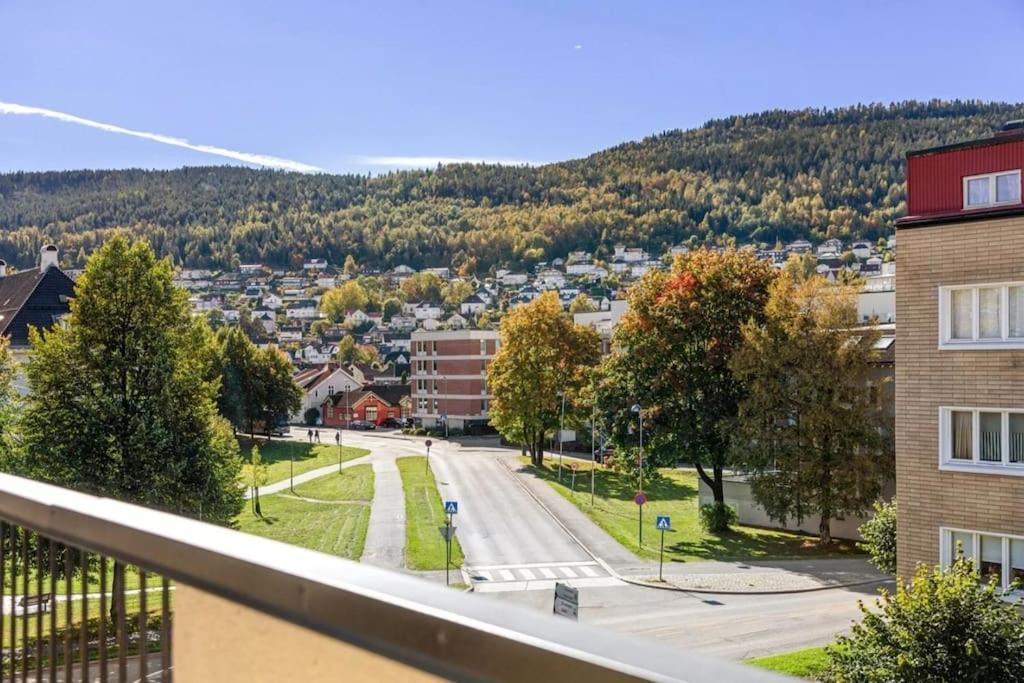 Sentral leilighet i Drammen view 3