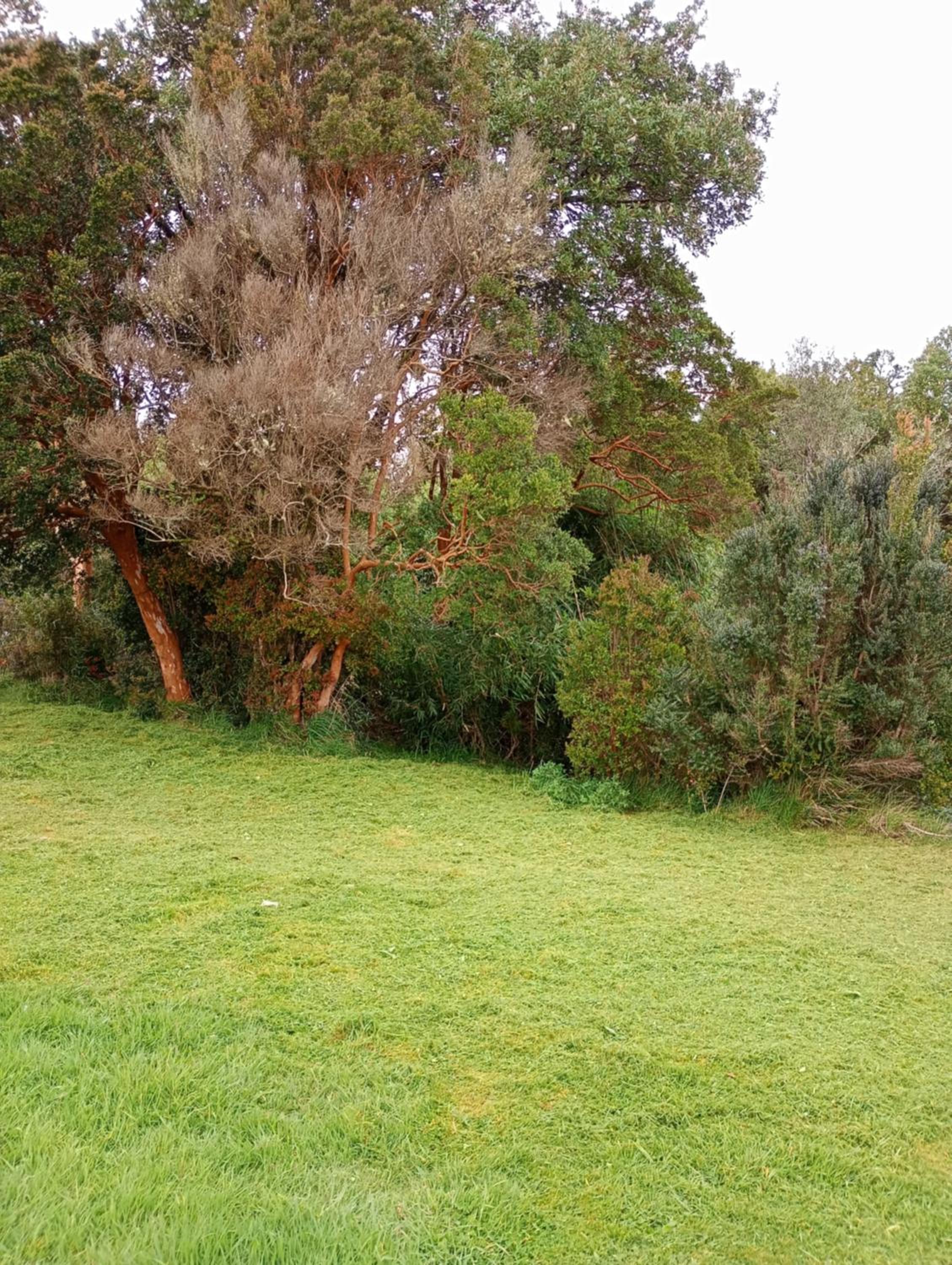 Hospedaje entre ríos Caipulli