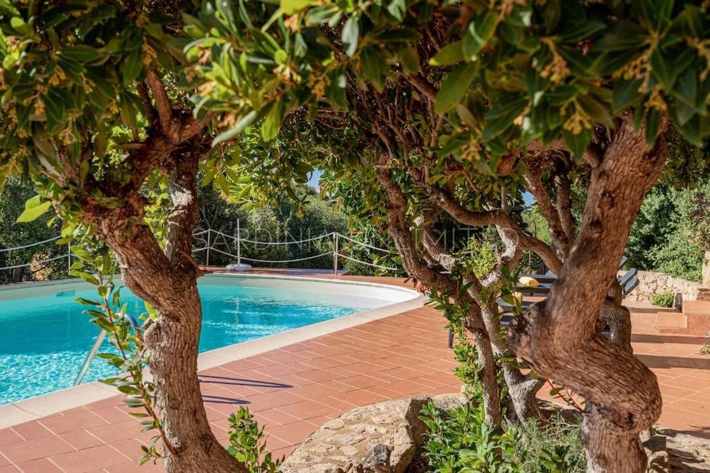 Villa Lilibeth