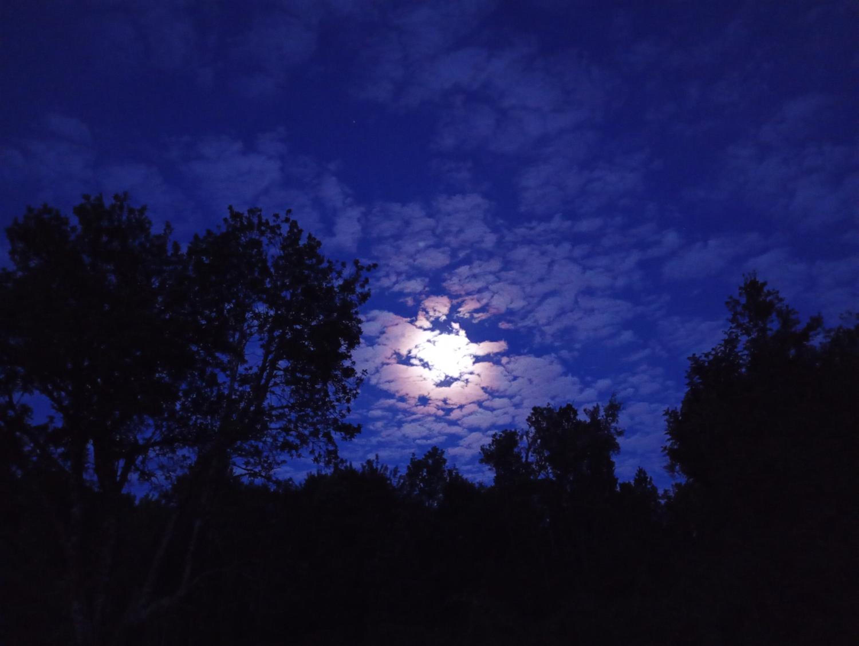 Hospedaje entre ríos Caipulli