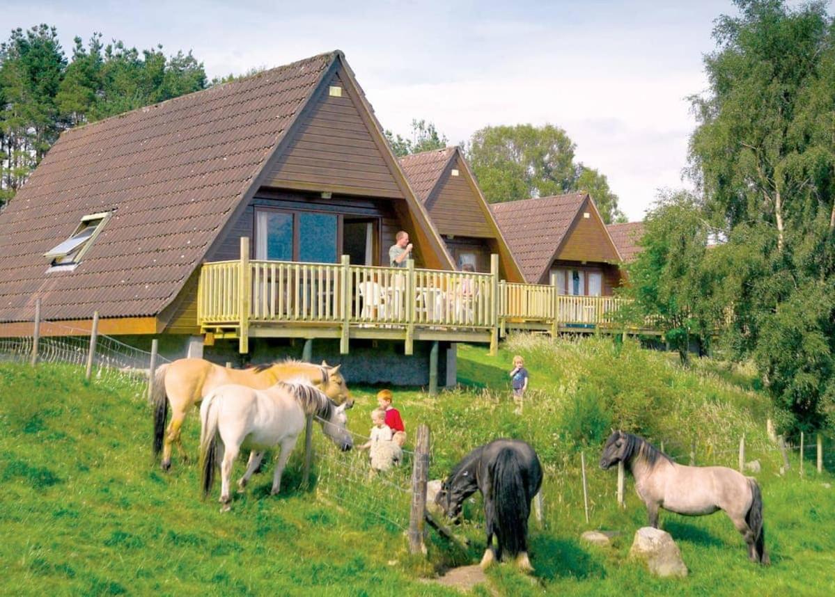 Delny Highland Lodges