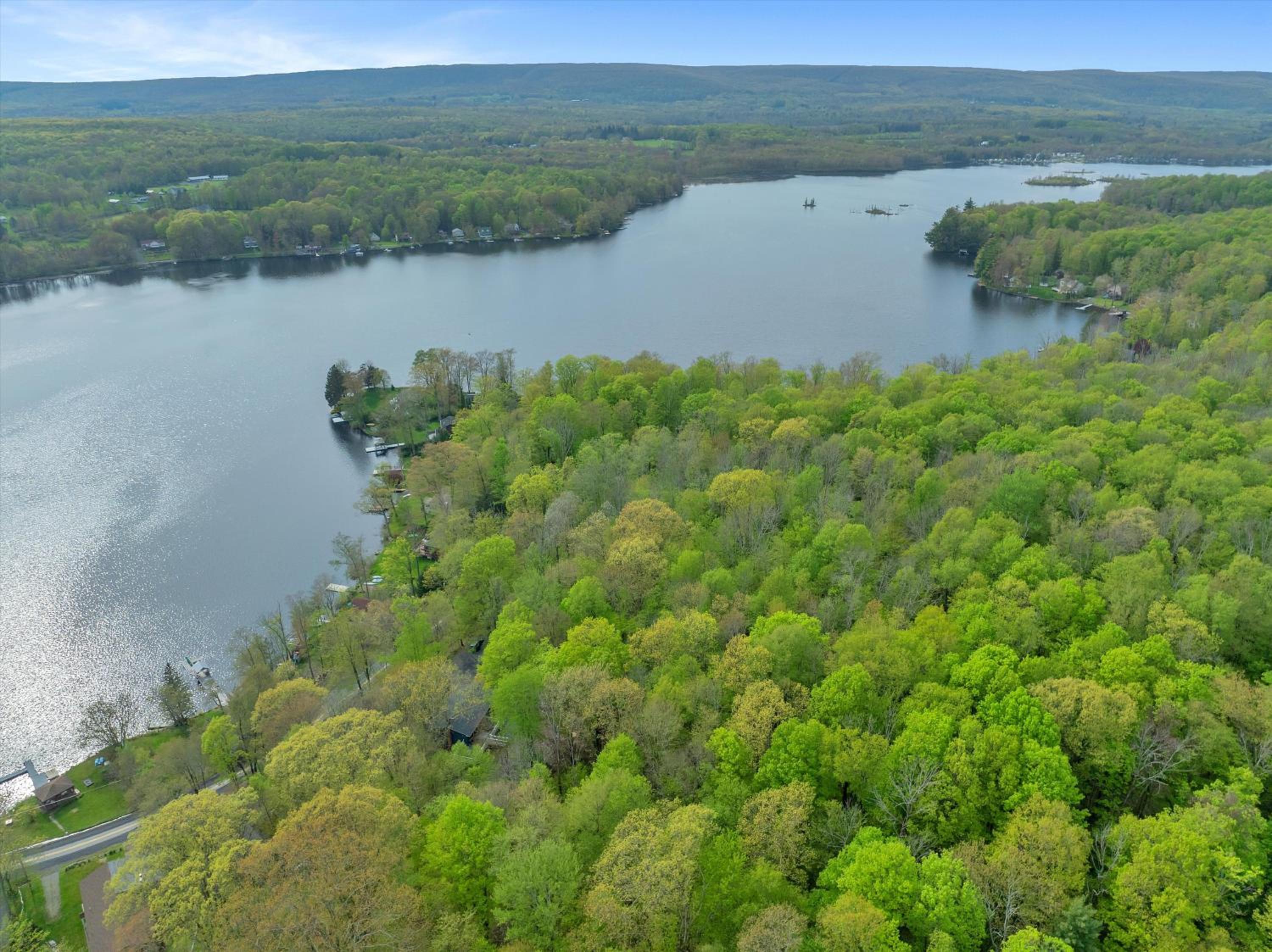 Lakeside, Dock, Hot Tub, Kayaks, Arcade, Playset view 5