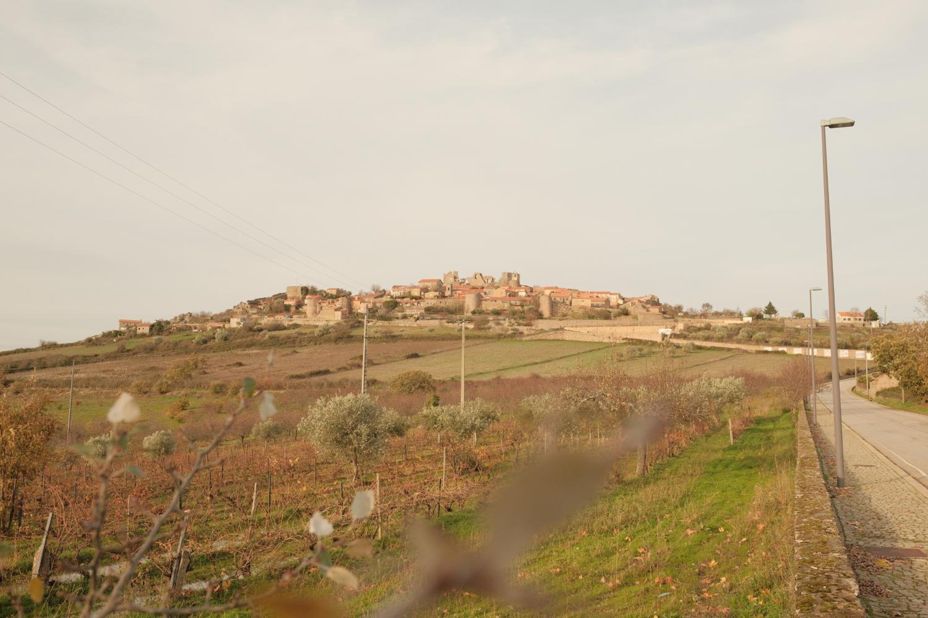 Photo 52