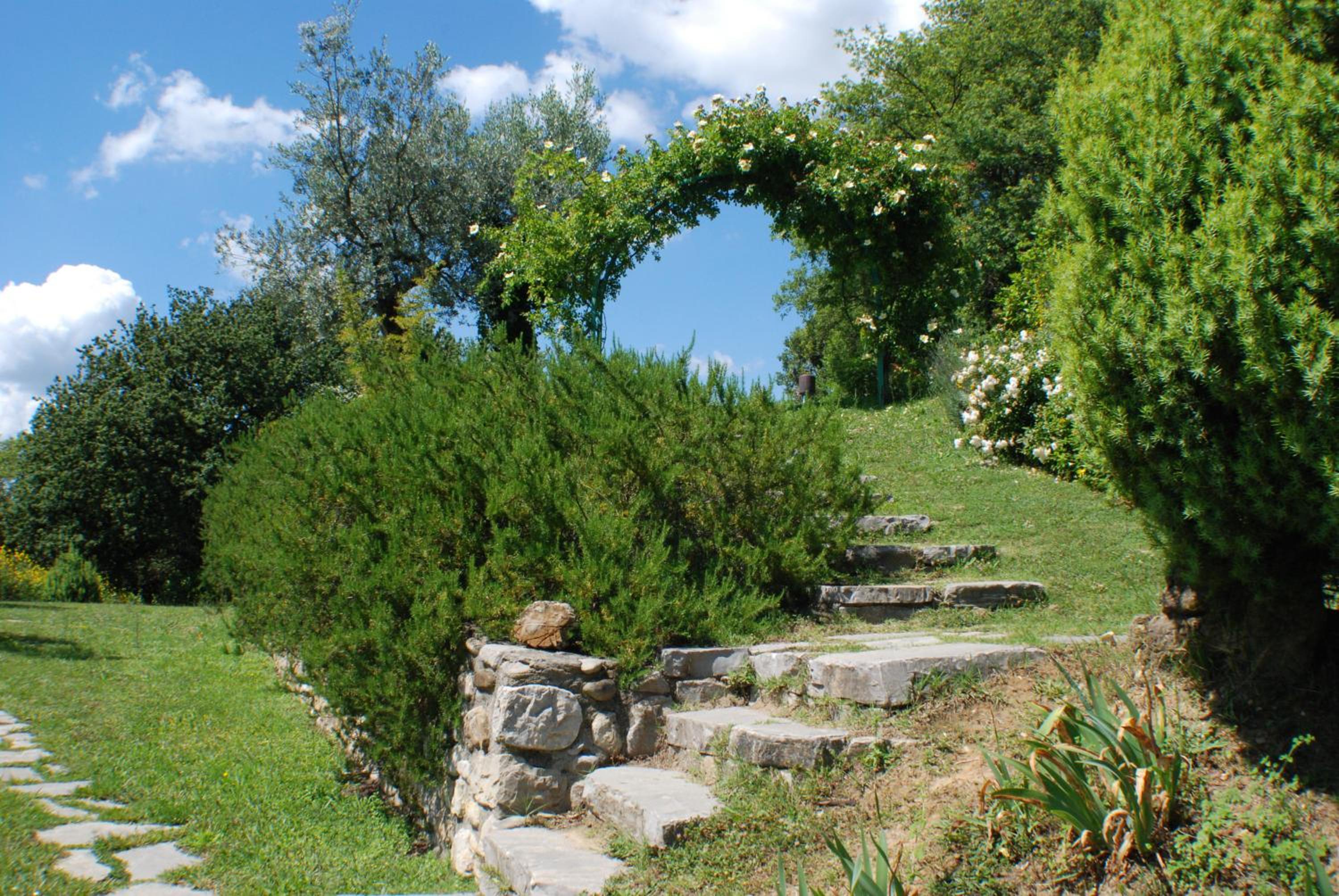 Photo 44