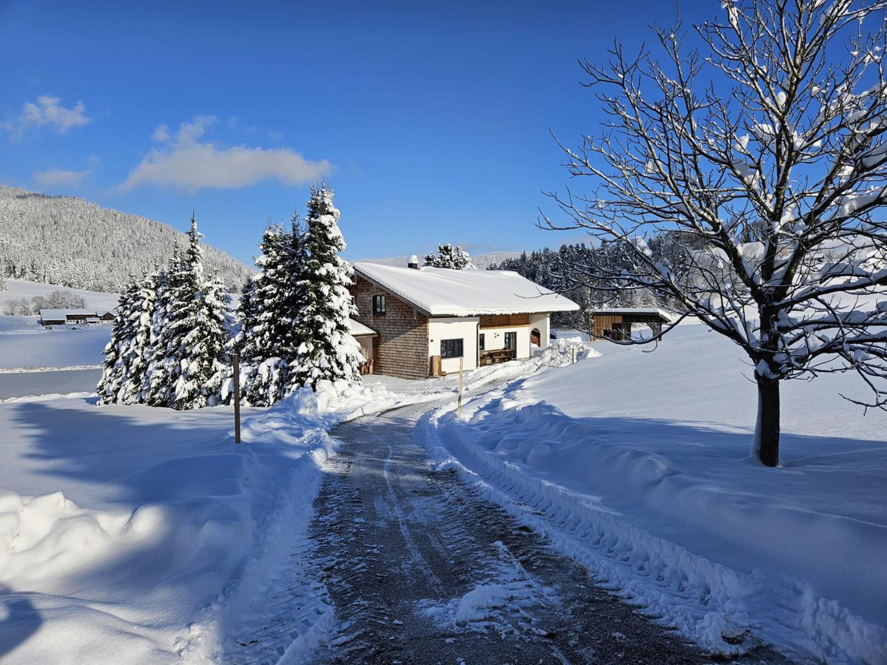 Ferienhaus Froschsee inkl. Chiemgaukarte