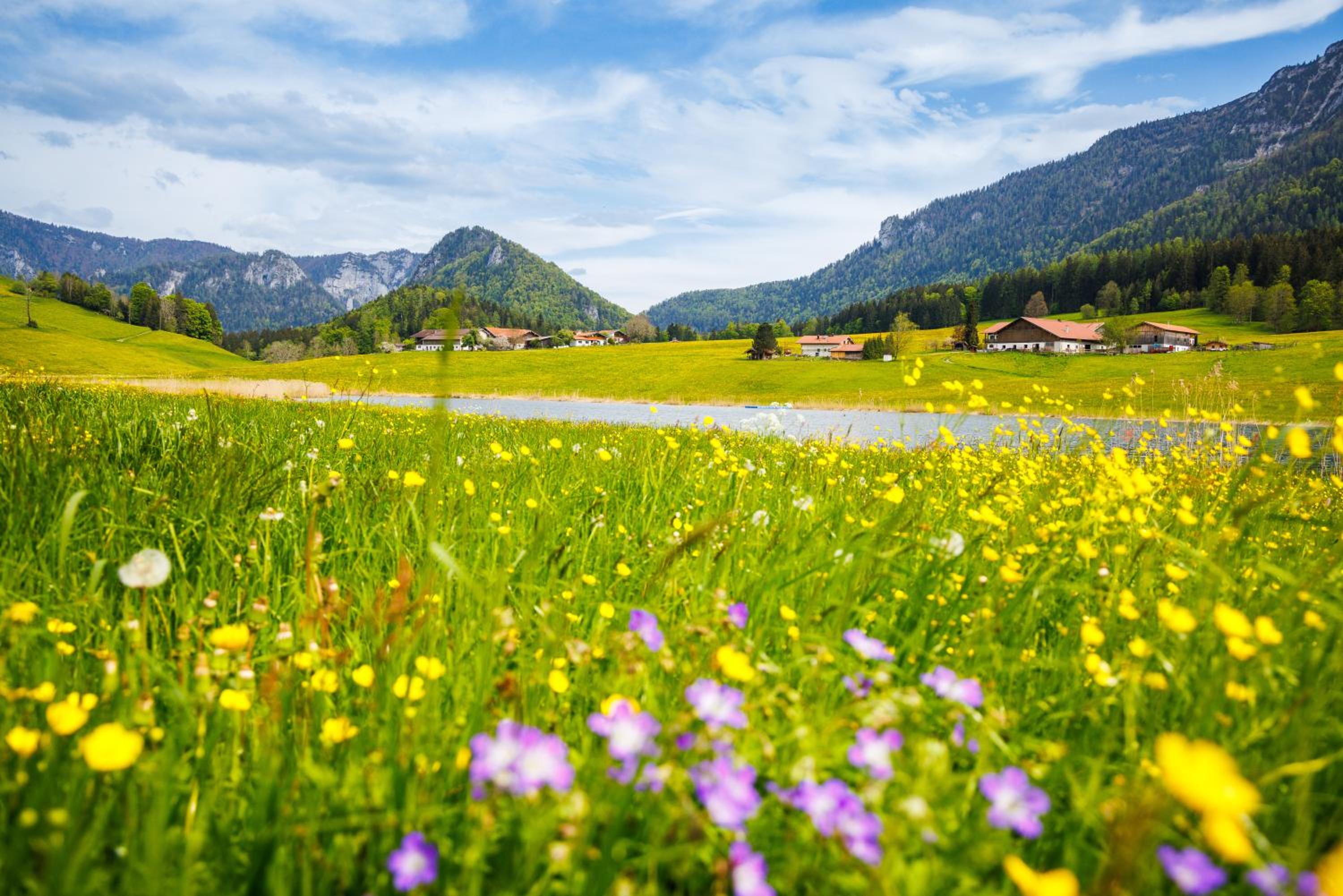 Ferienhaus Froschsee inkl. Chiemgaukarte