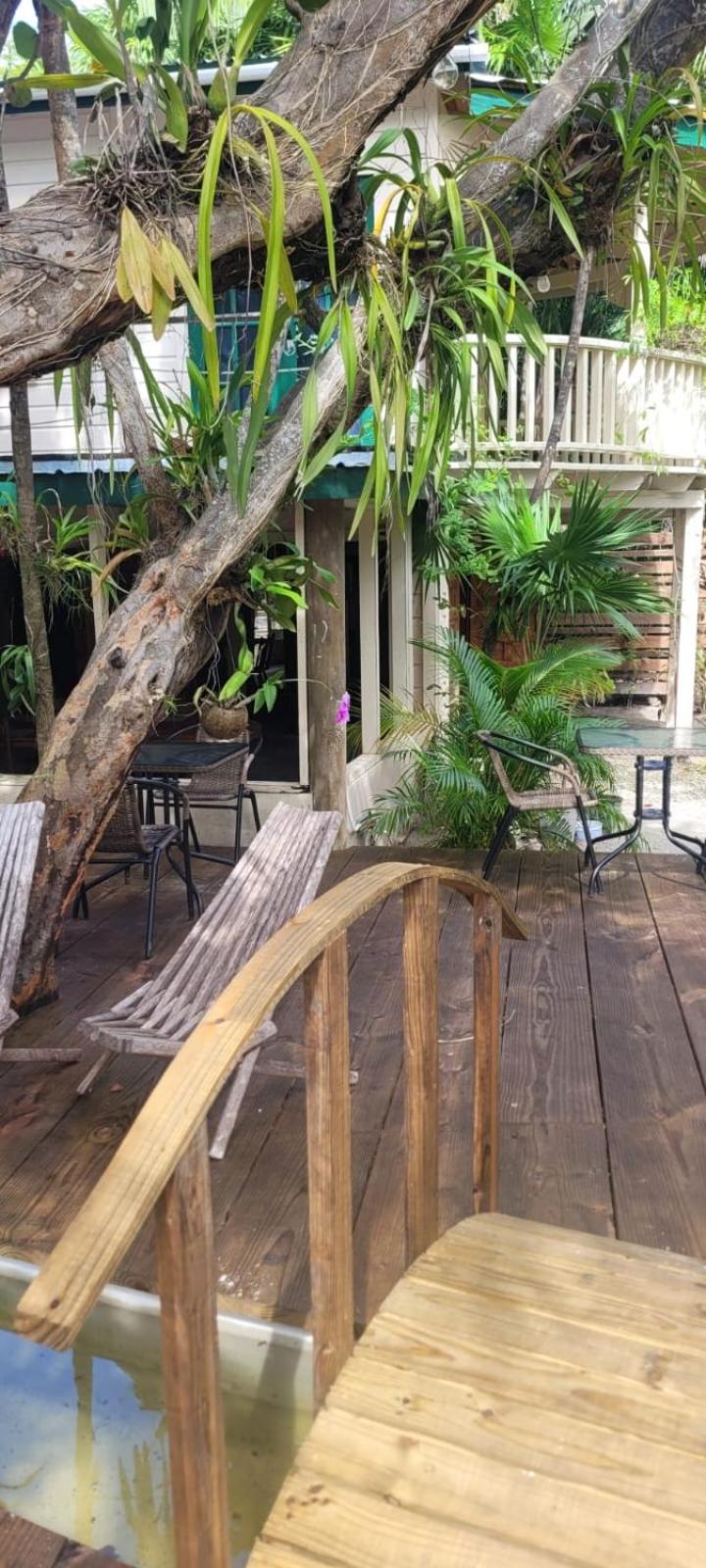 Jungle Cocoon