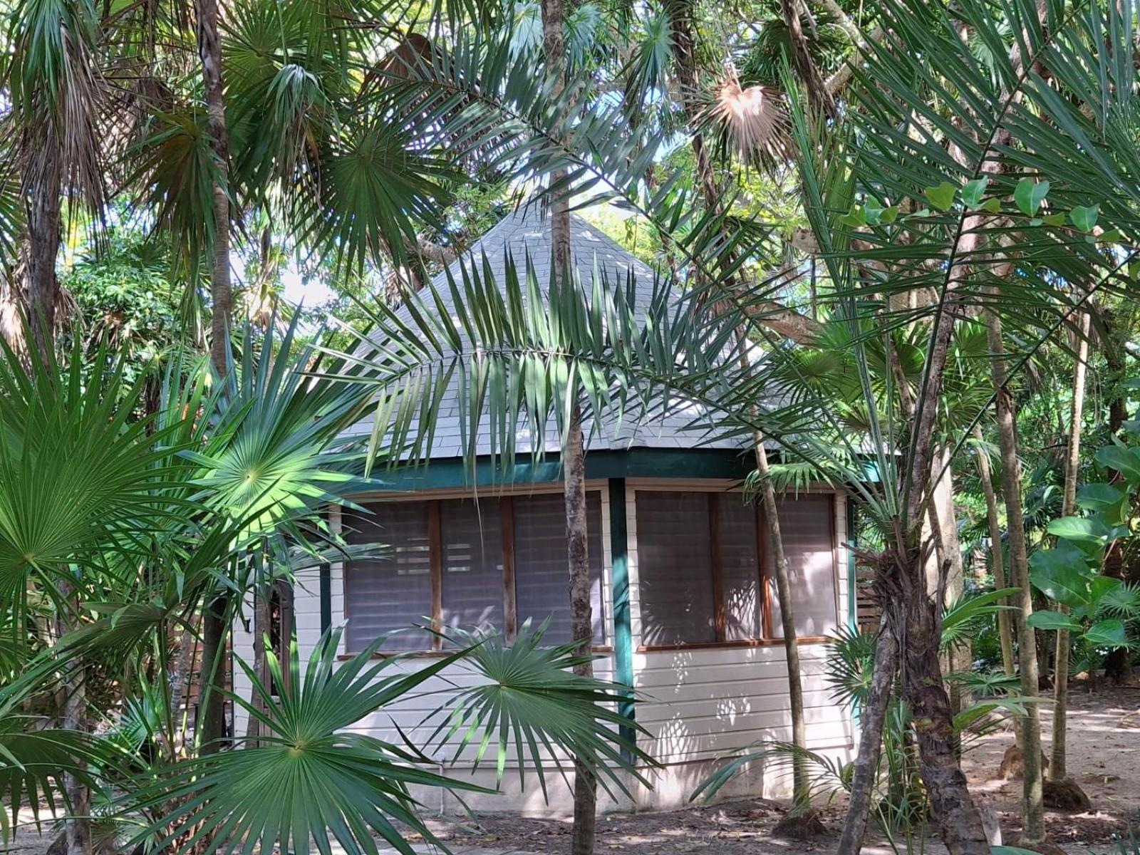 Jungle Cocoon