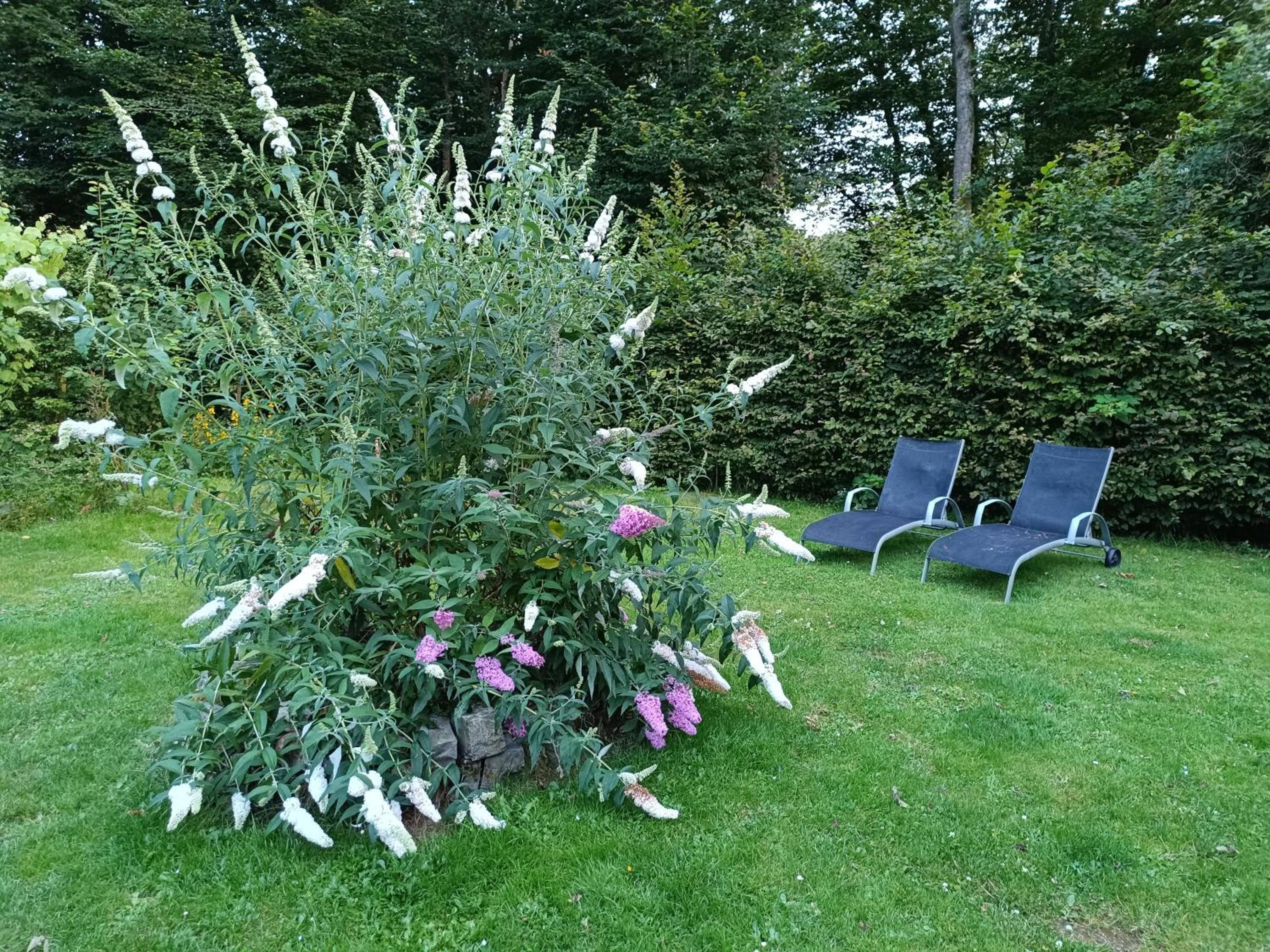 bois de biron - gîte - vakantiehuis - chalet