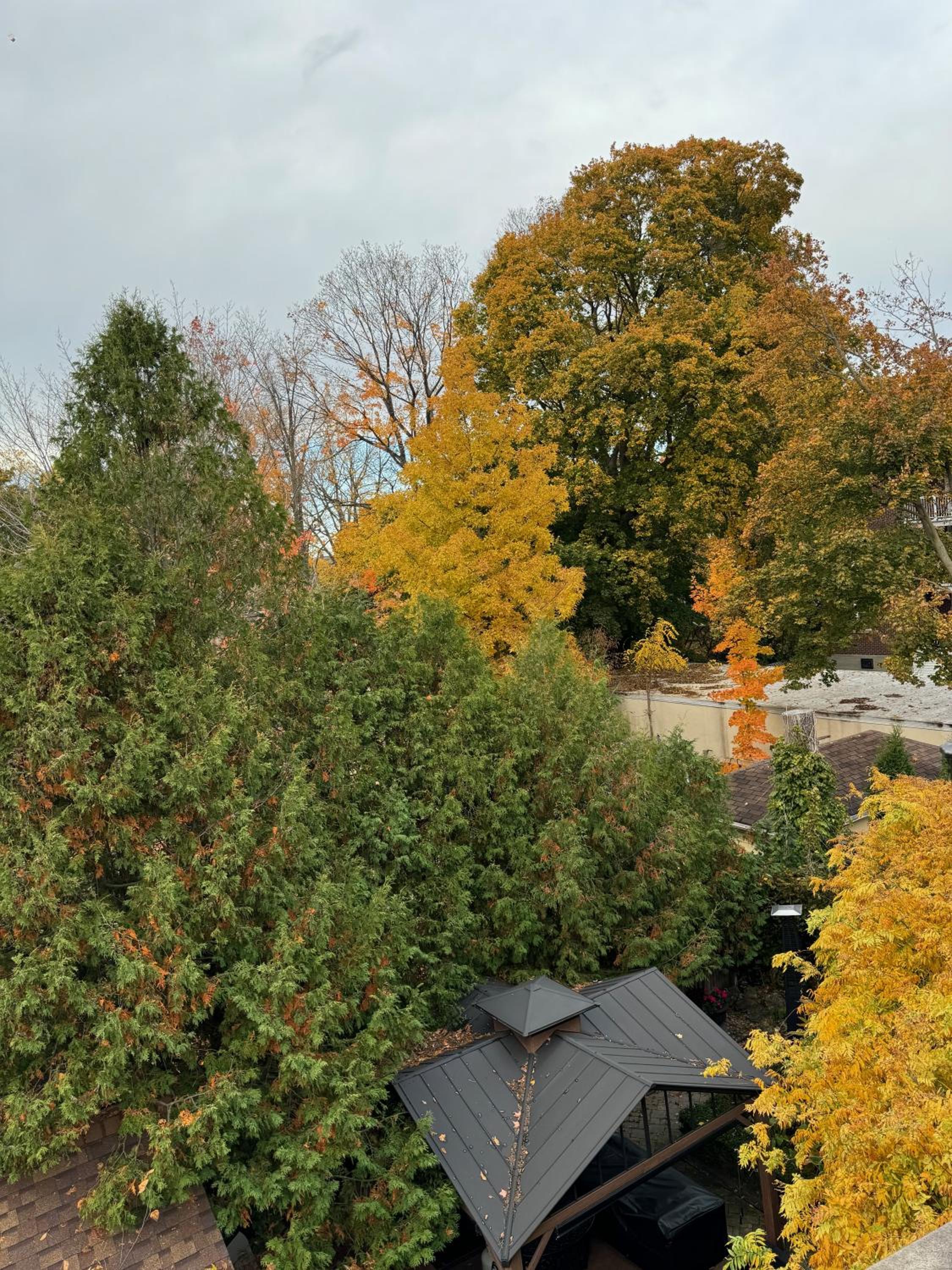 Norfolk Guest House Inn, photo 40