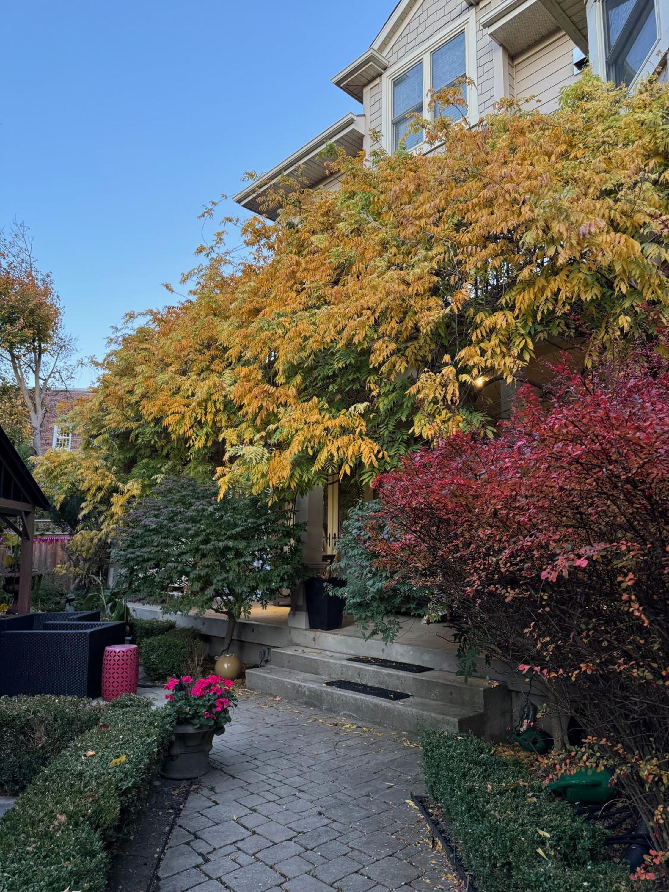 Norfolk Guest House Inn, photo 106