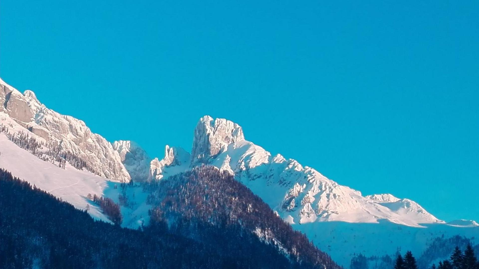 Ferienwohnung Donnerkogel