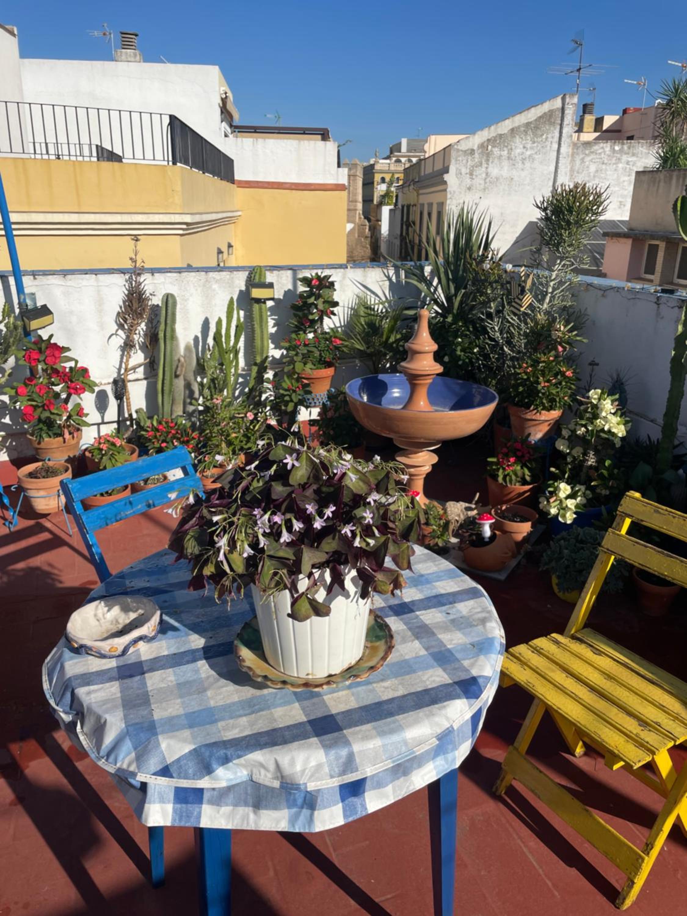 roof
