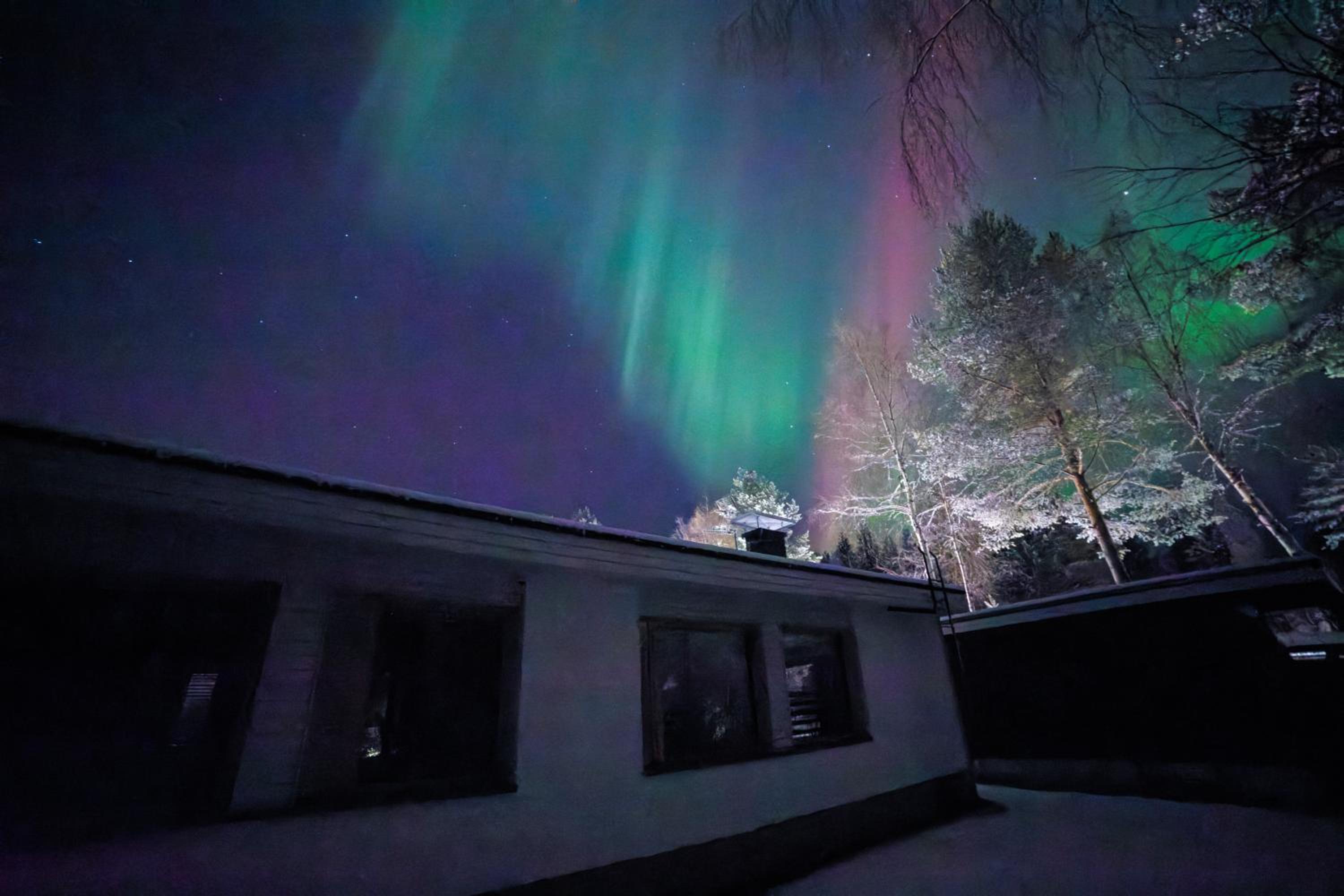 Arctic Aurora Villa with Sauna - Northern Lights and Adventures in the Hometown of Santa Claus, Rovaniemi