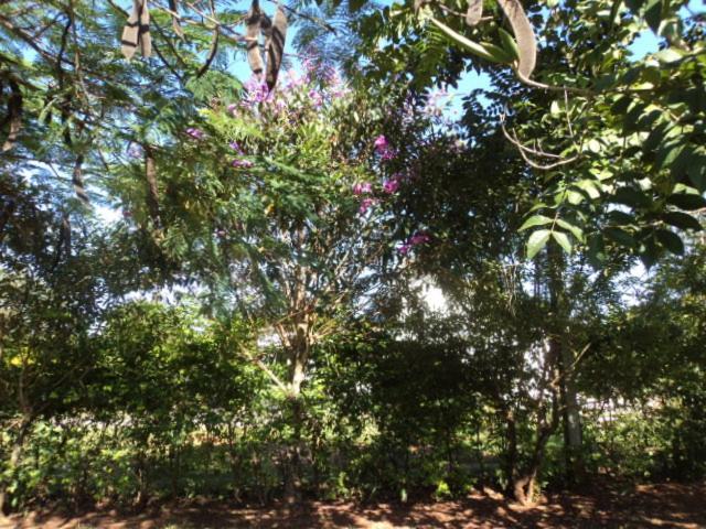 Pousada Keluz view 4