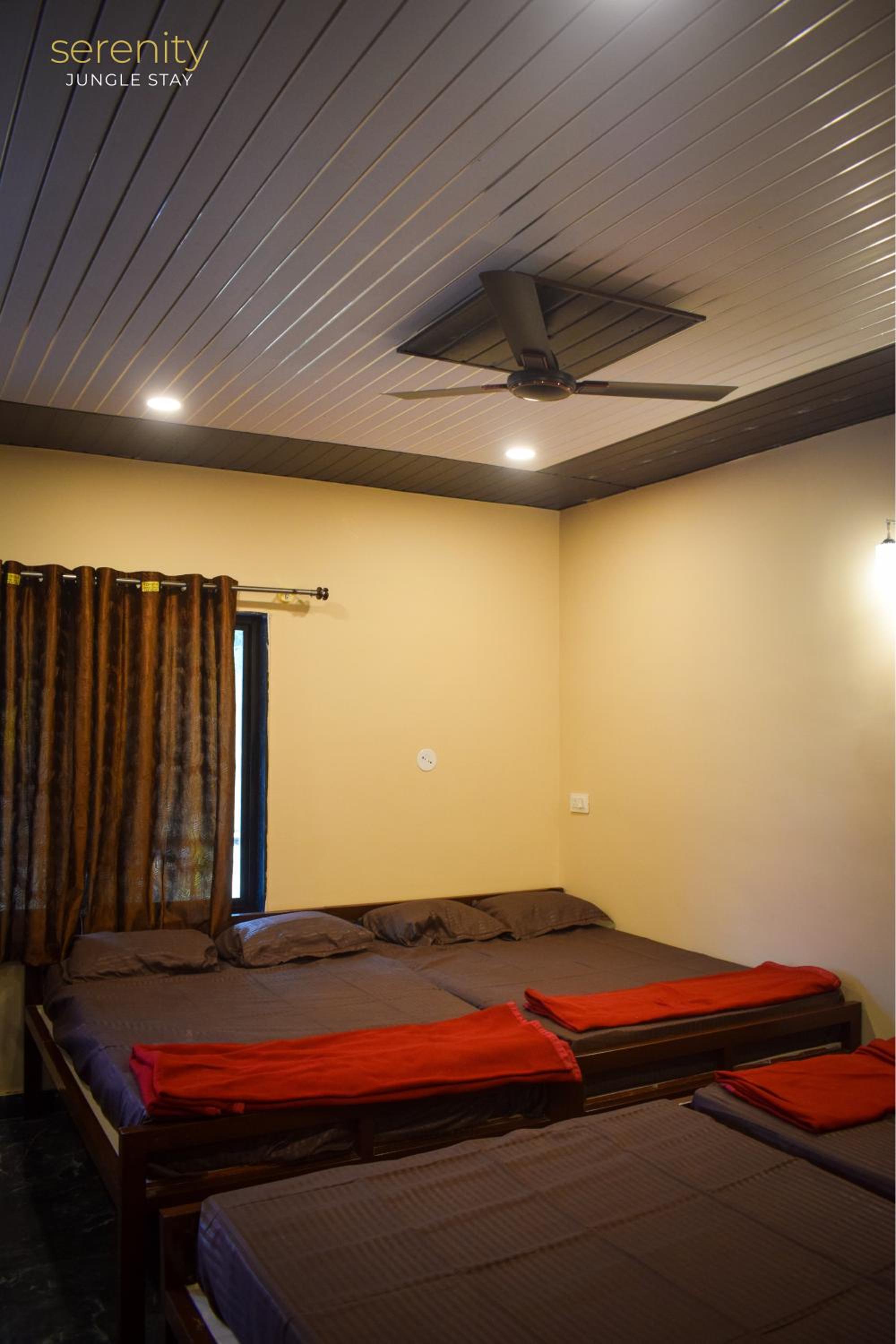 Serenity Jungle Stay