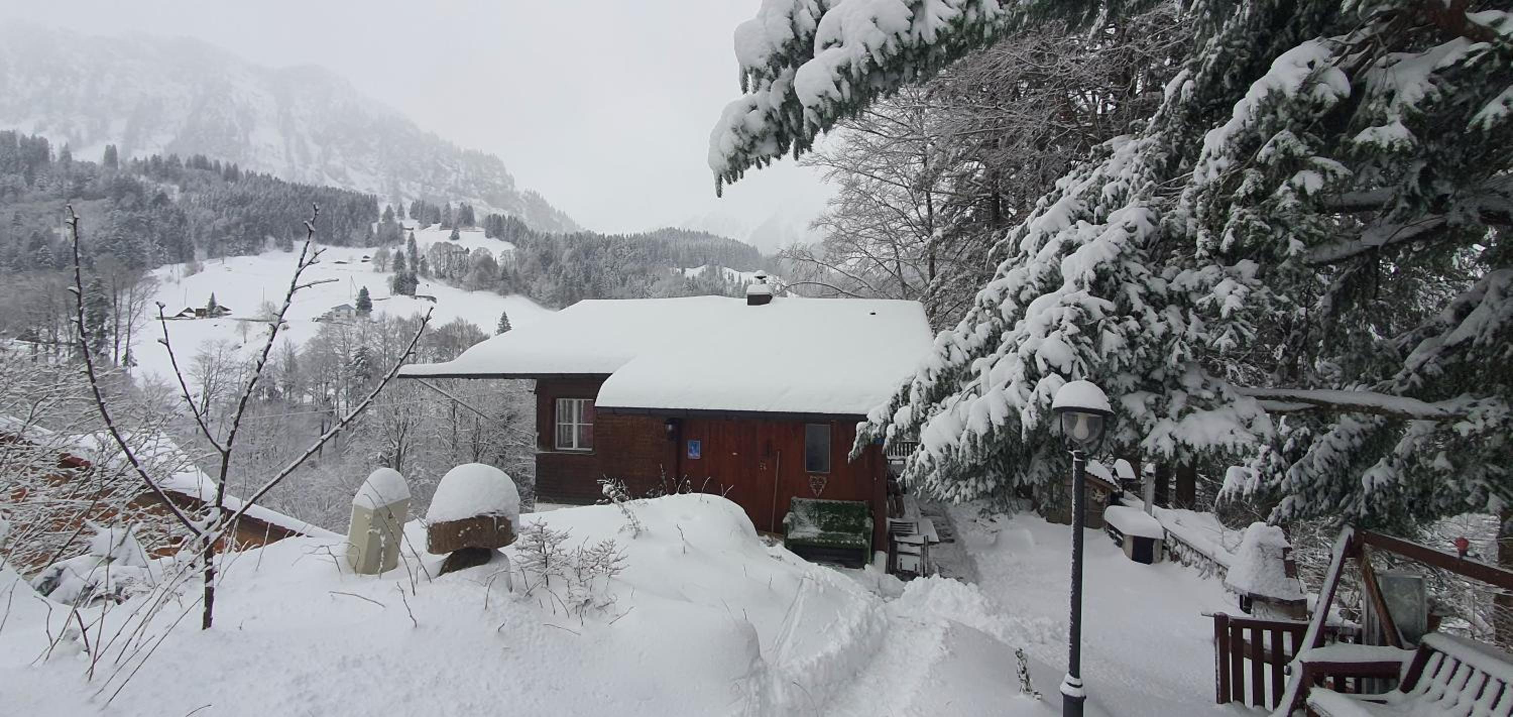 Charming 1-room apartment with Alpine feeling
