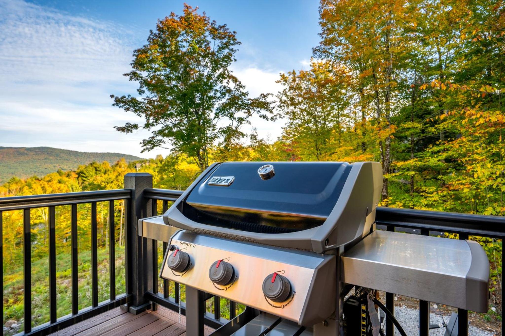Brand New Retreat near Ski Resort, Game Room, Sauna, Hot Tub, Pool view 4