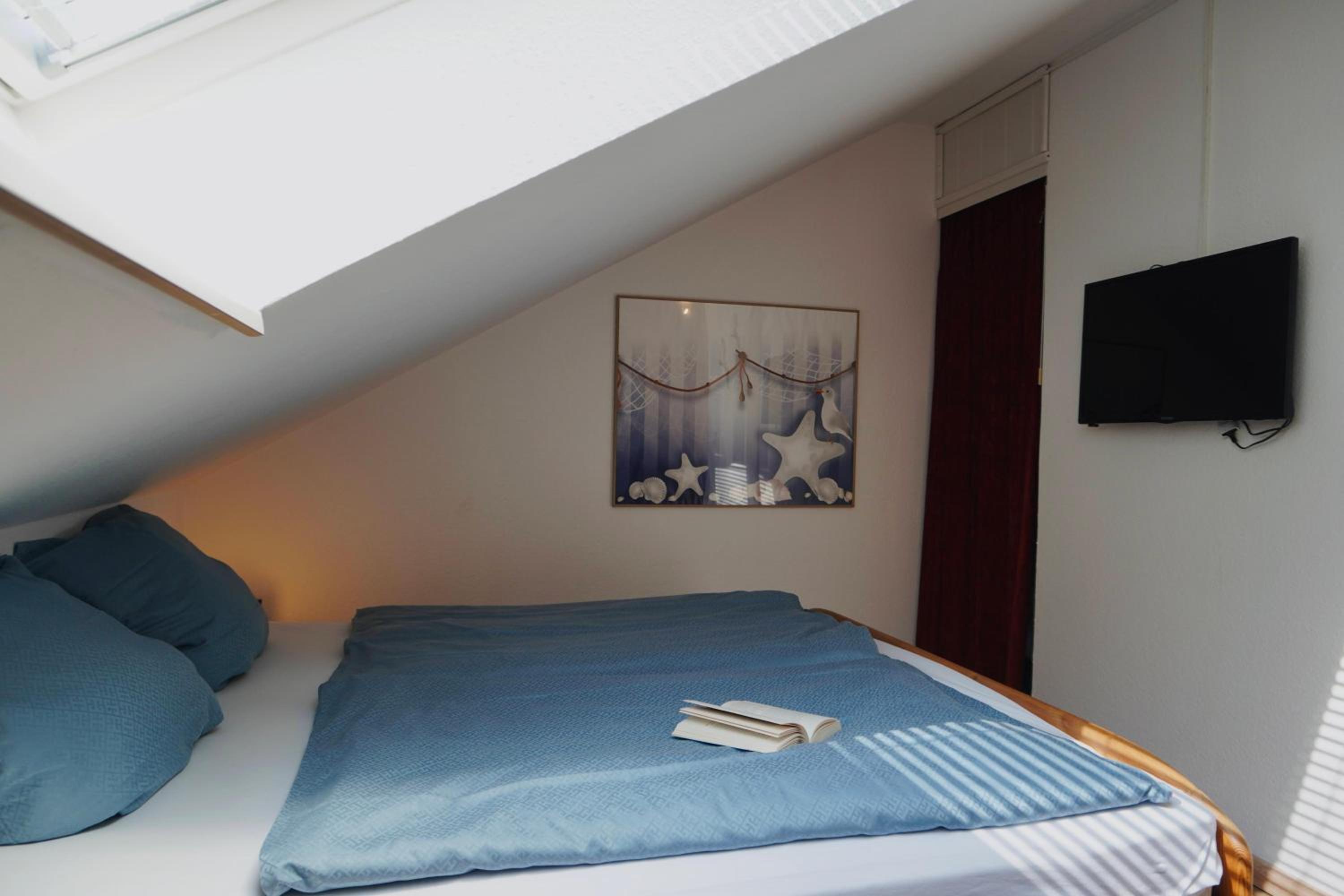 Haus Strandflieder