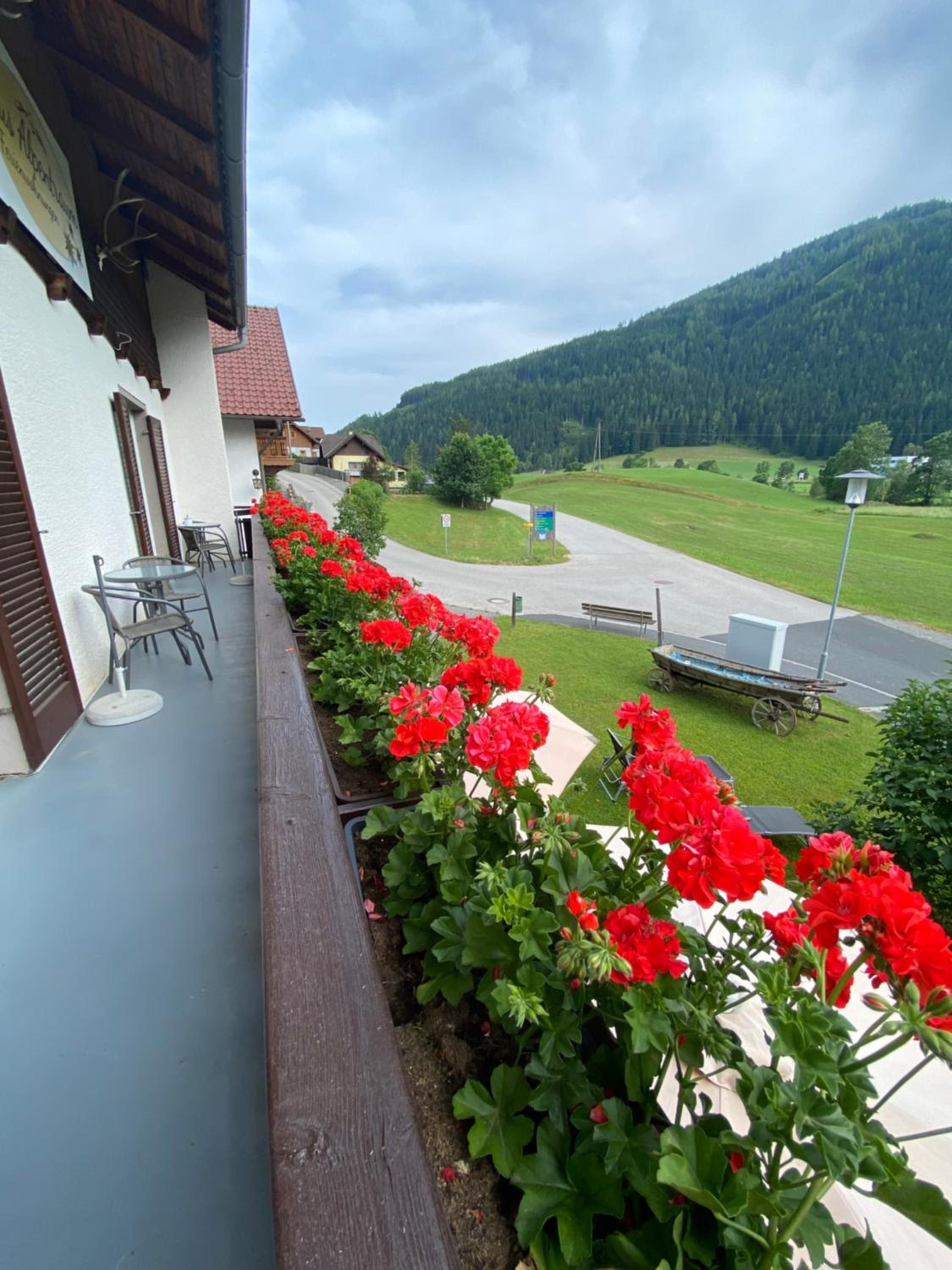 Haus Alpentraum view 2