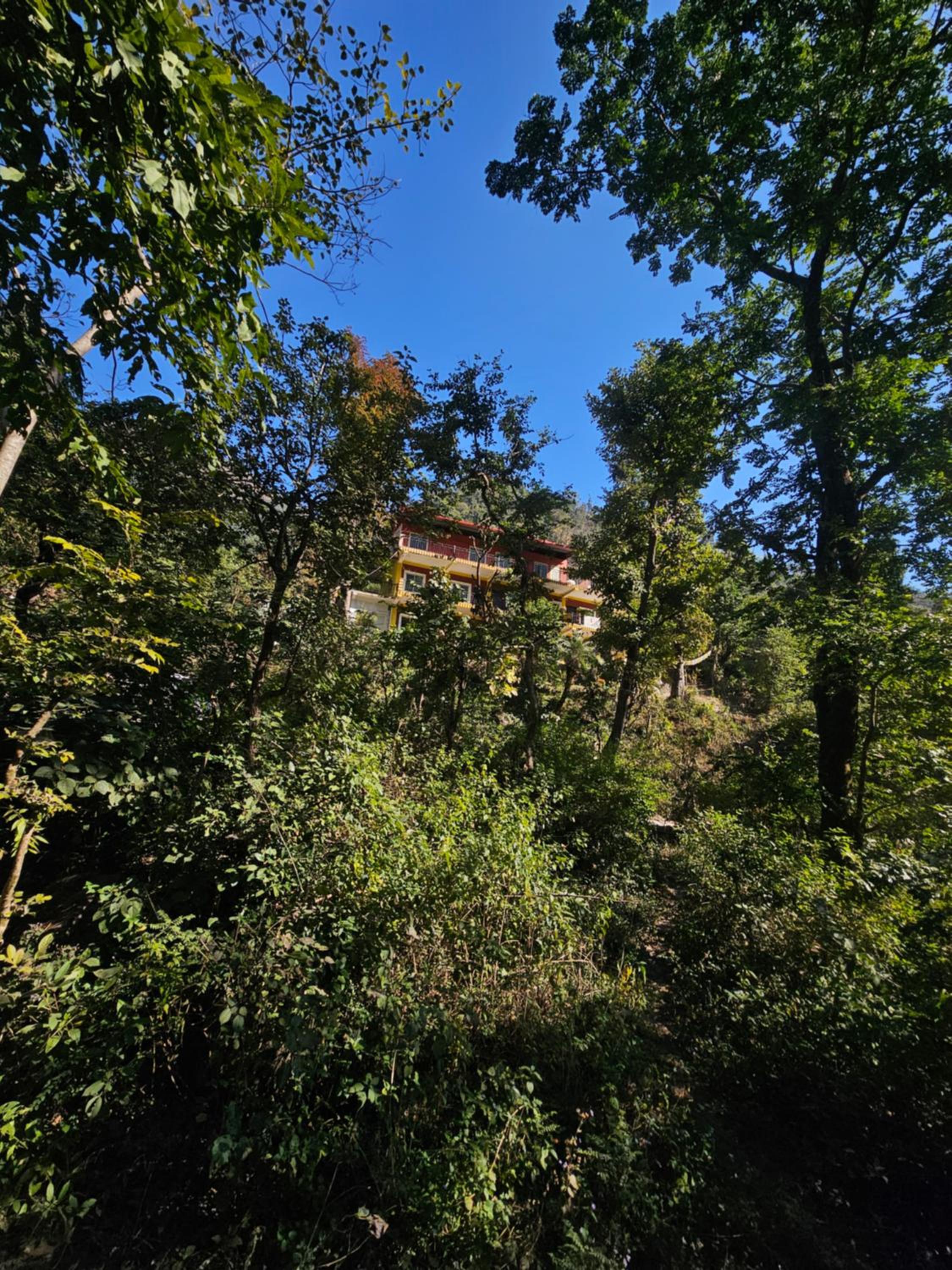 Tapovan Cascades