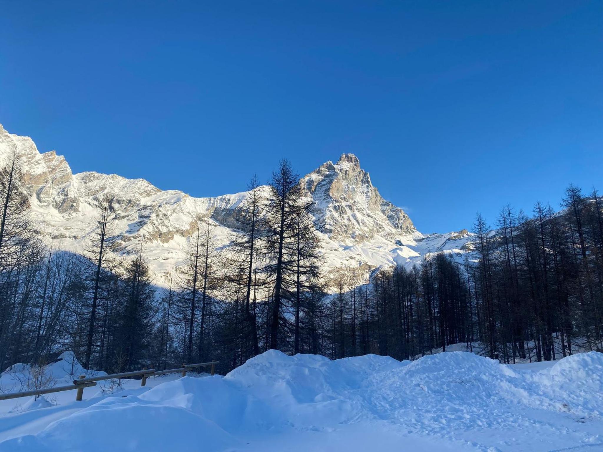 Grandes Mourailles Apartment ski in & ski out