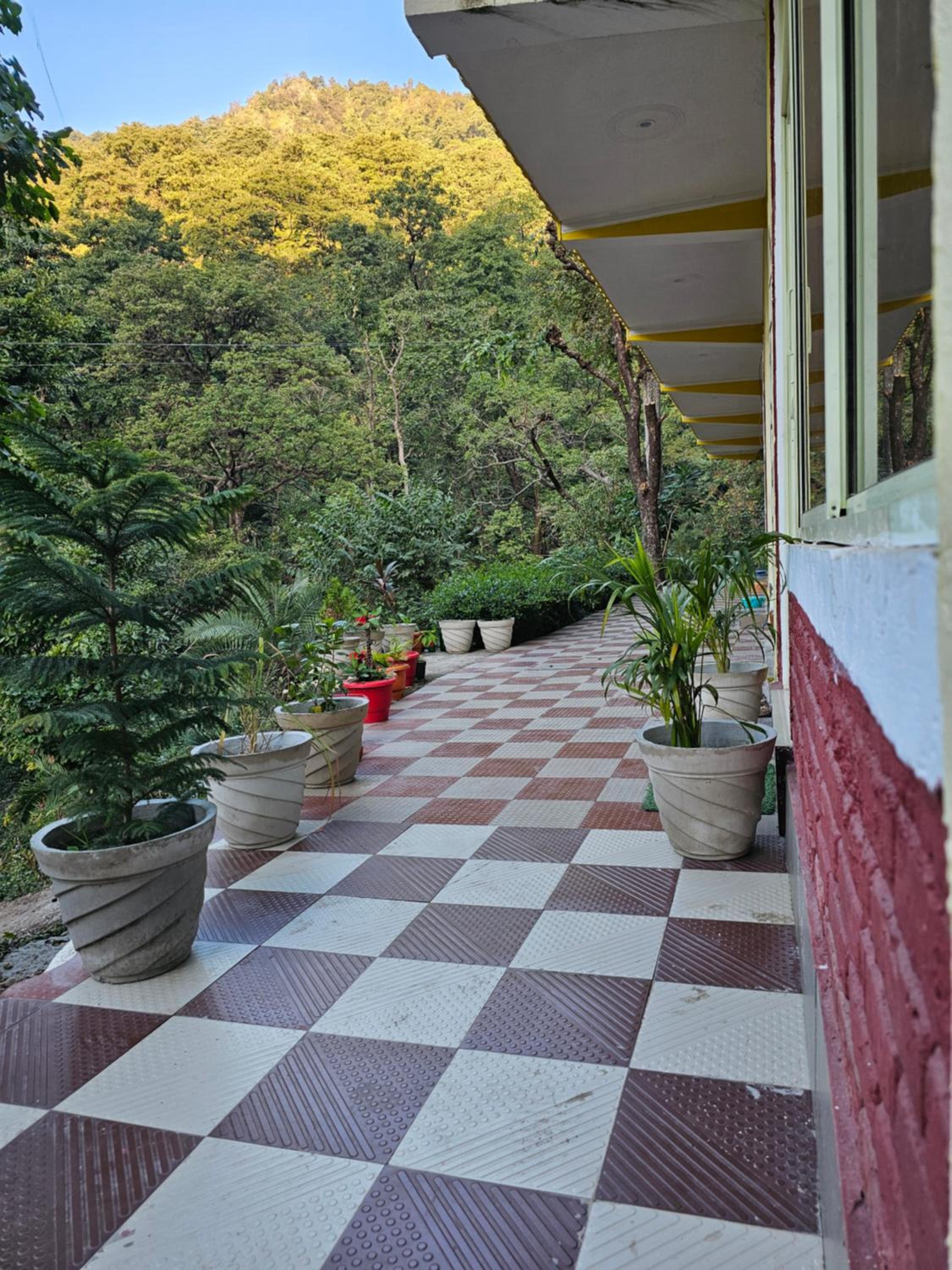 Tapovan Cascades