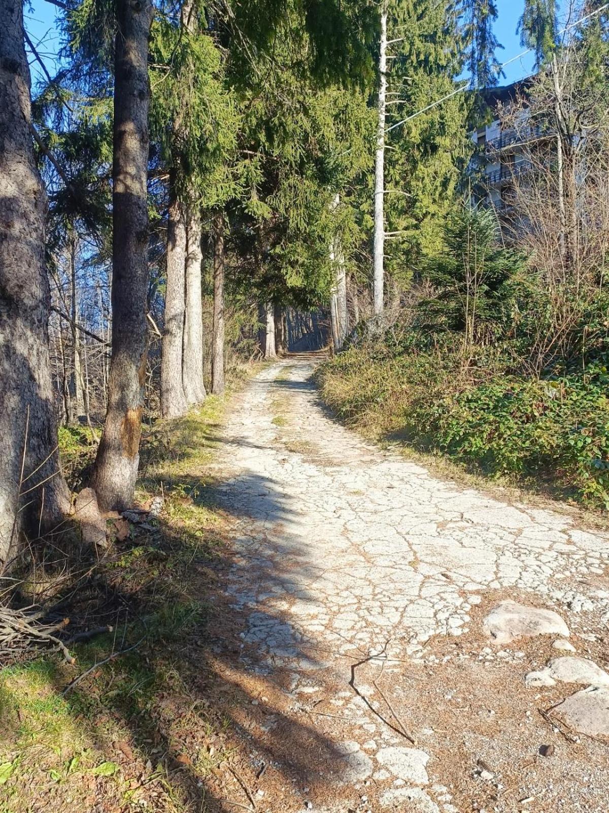 La Mansarda nel bosco view 2