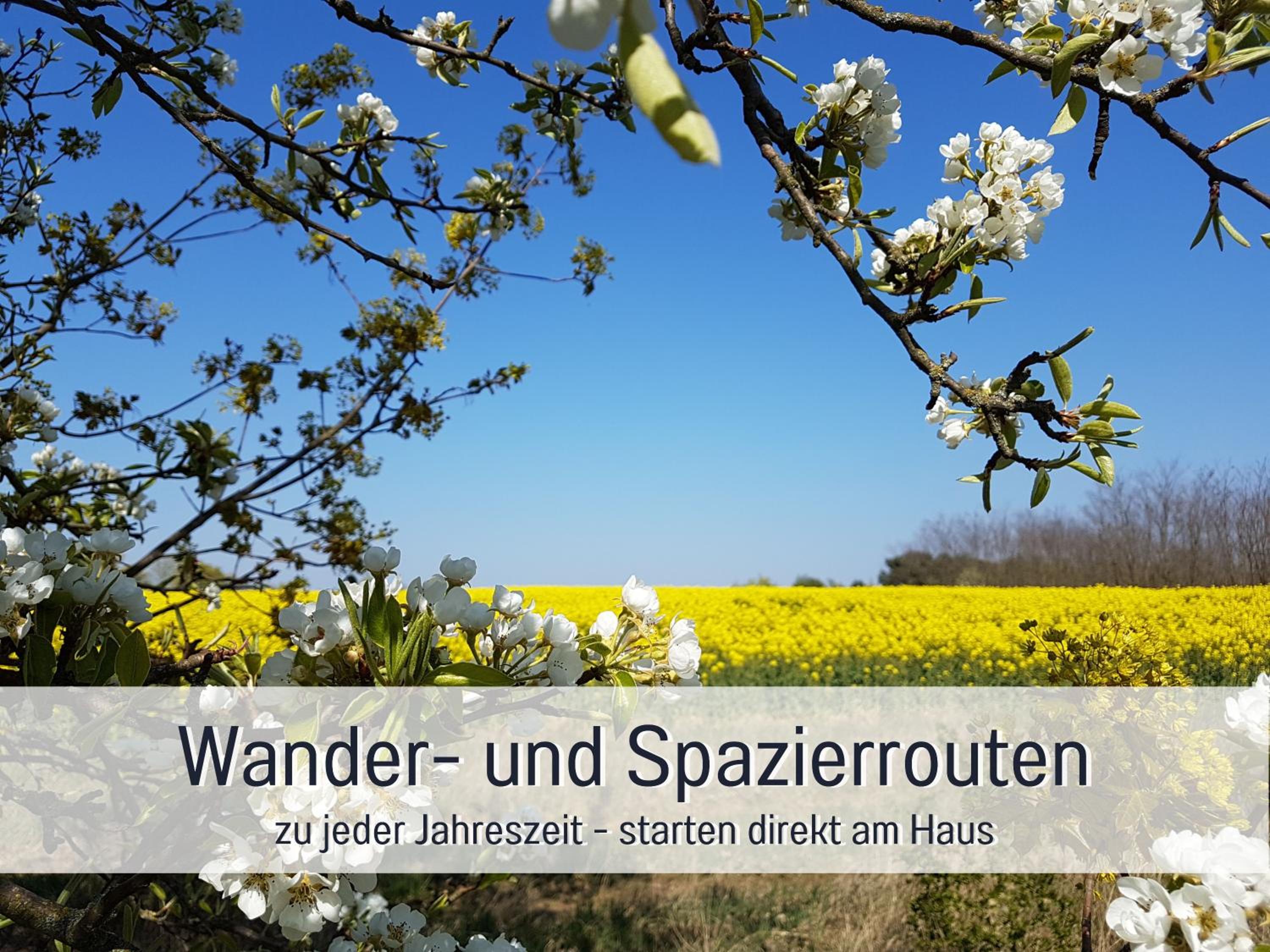 Ferienhaus Lebuser Land für bis zu 4 Personen mit 1300 qm Garten und Privatsauna, grandiosen Blick über die Oder, sonntags late check out bis 18 Uhr inklus