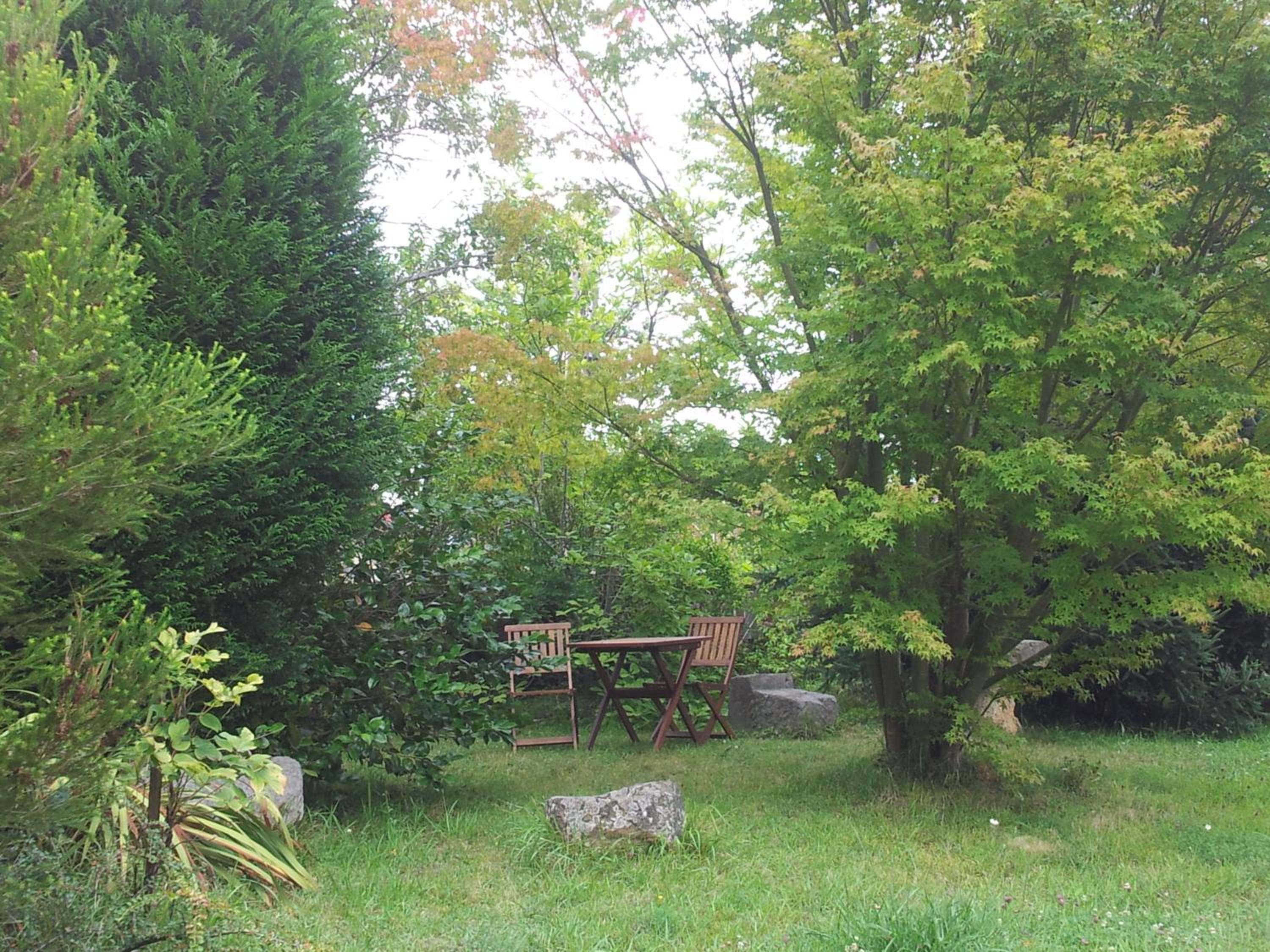 Photo 45