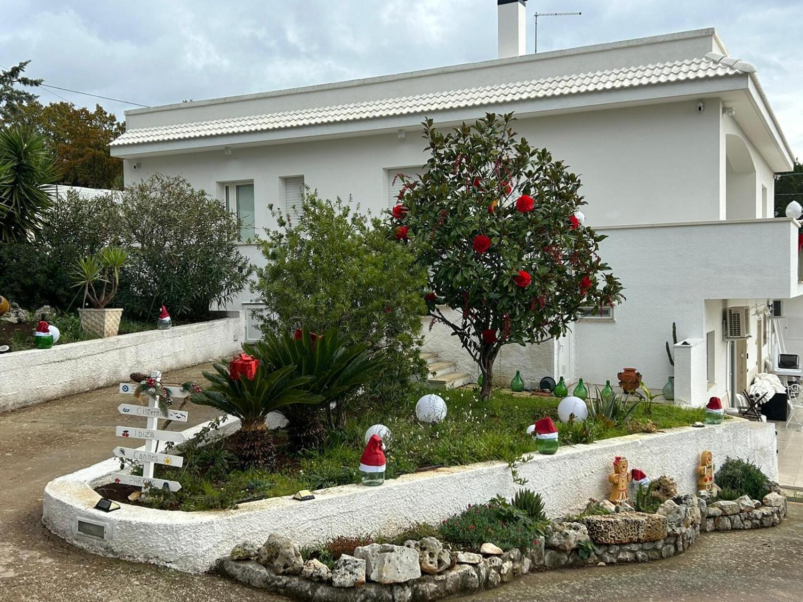 Photo 16