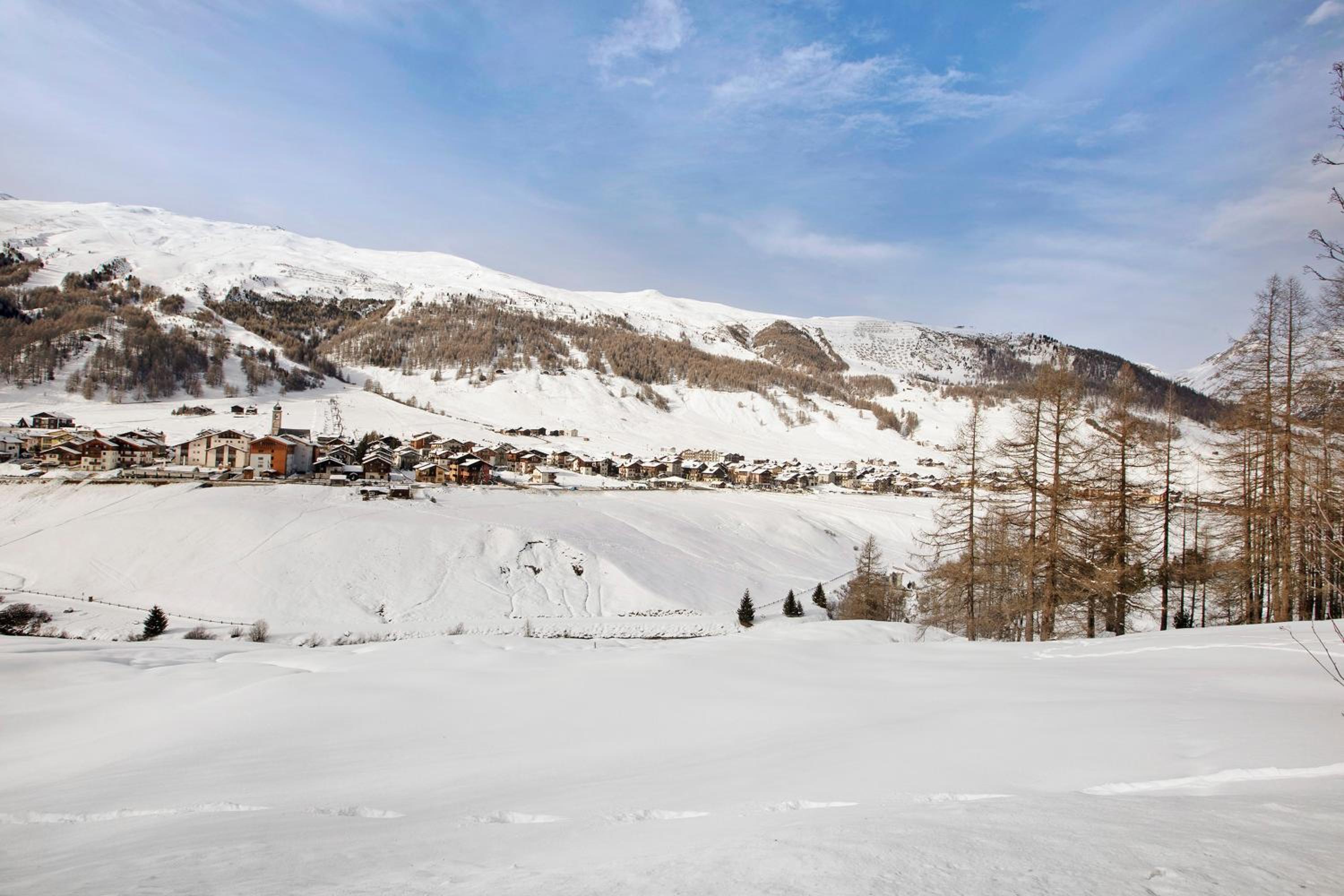 Appartamento1 deluxe - Alpen Suite view 4