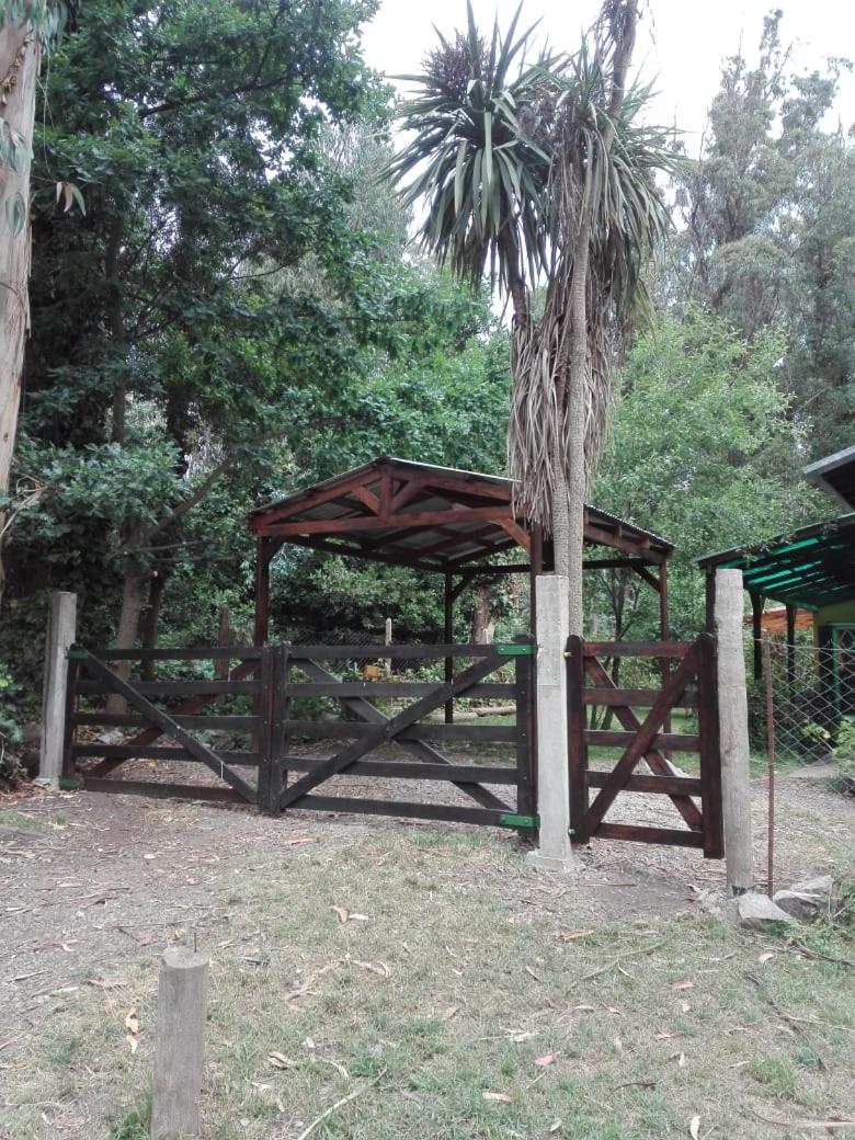 Casa del Bosque