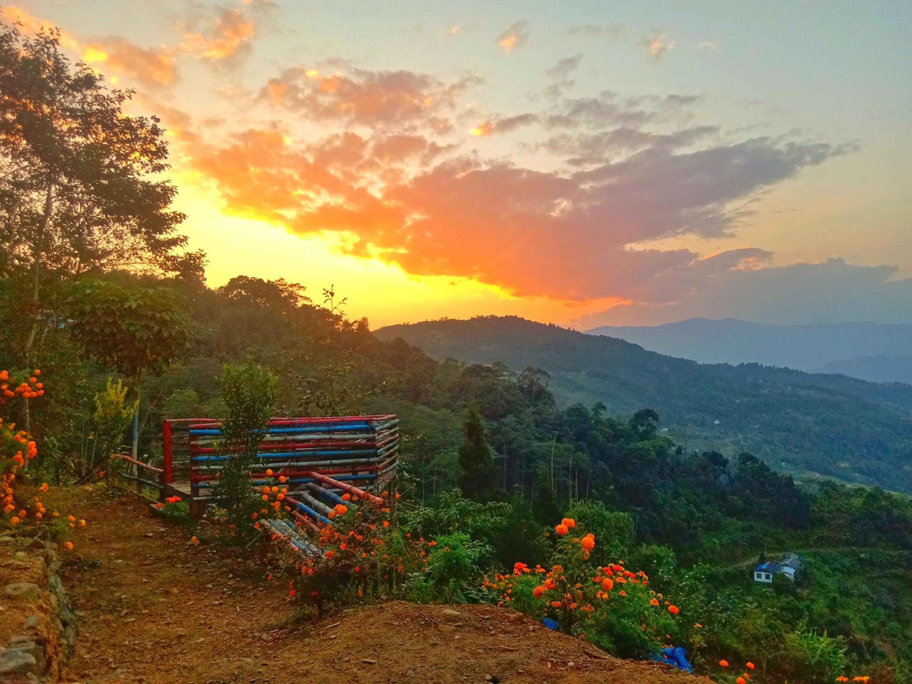 Nimzong homestay