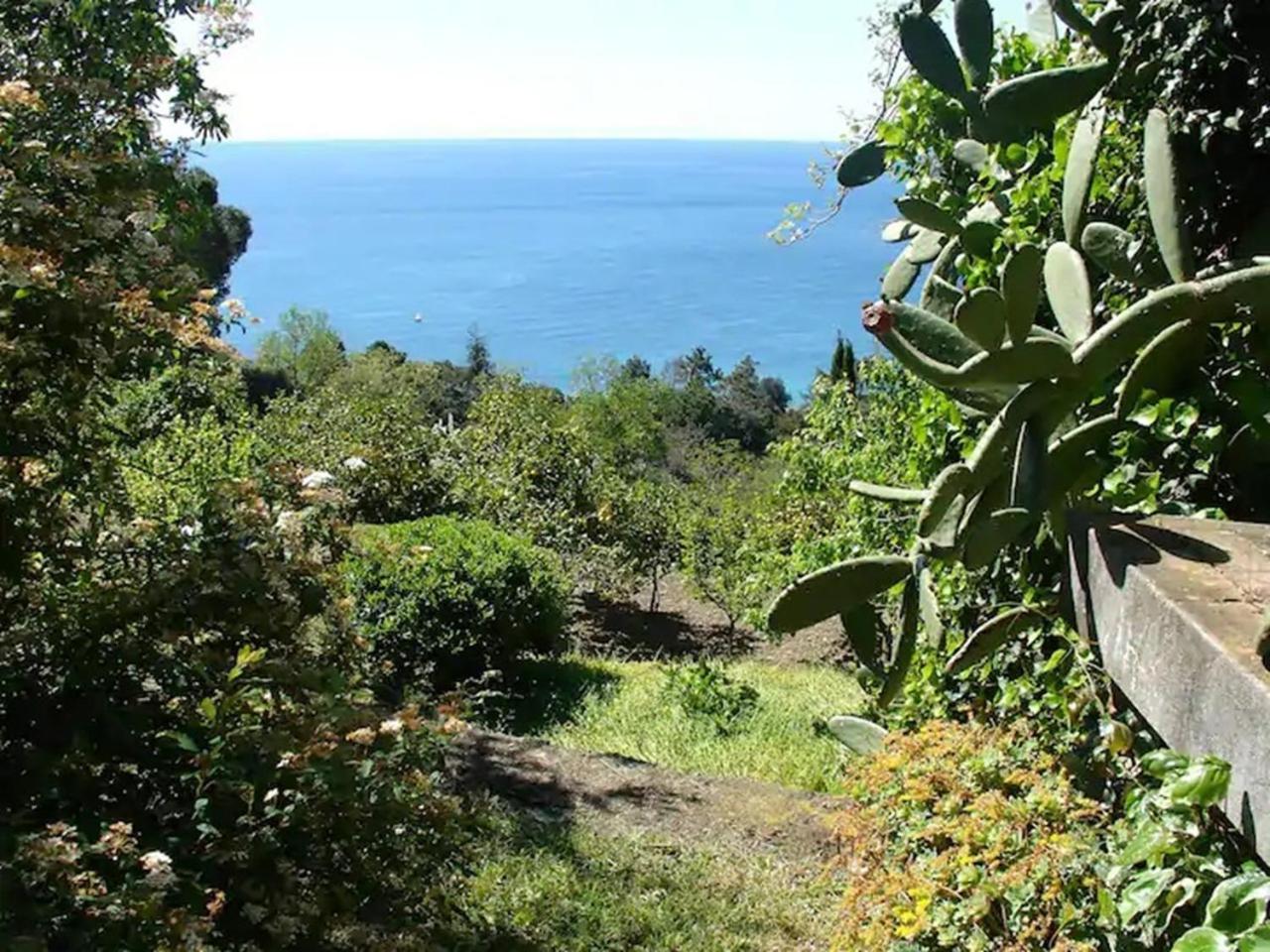 Historical Villa 'The Birdhouse' - Garden & Views photo 5