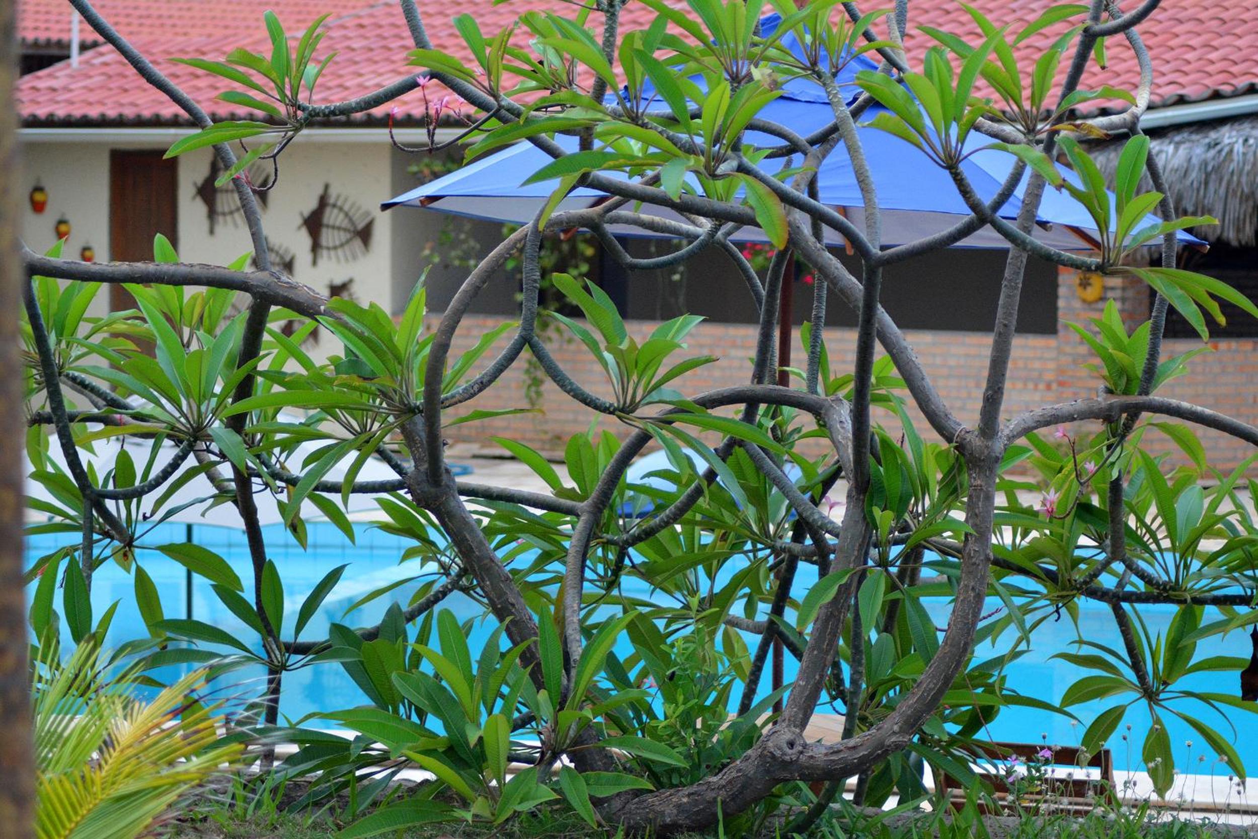 Pousada Oceania