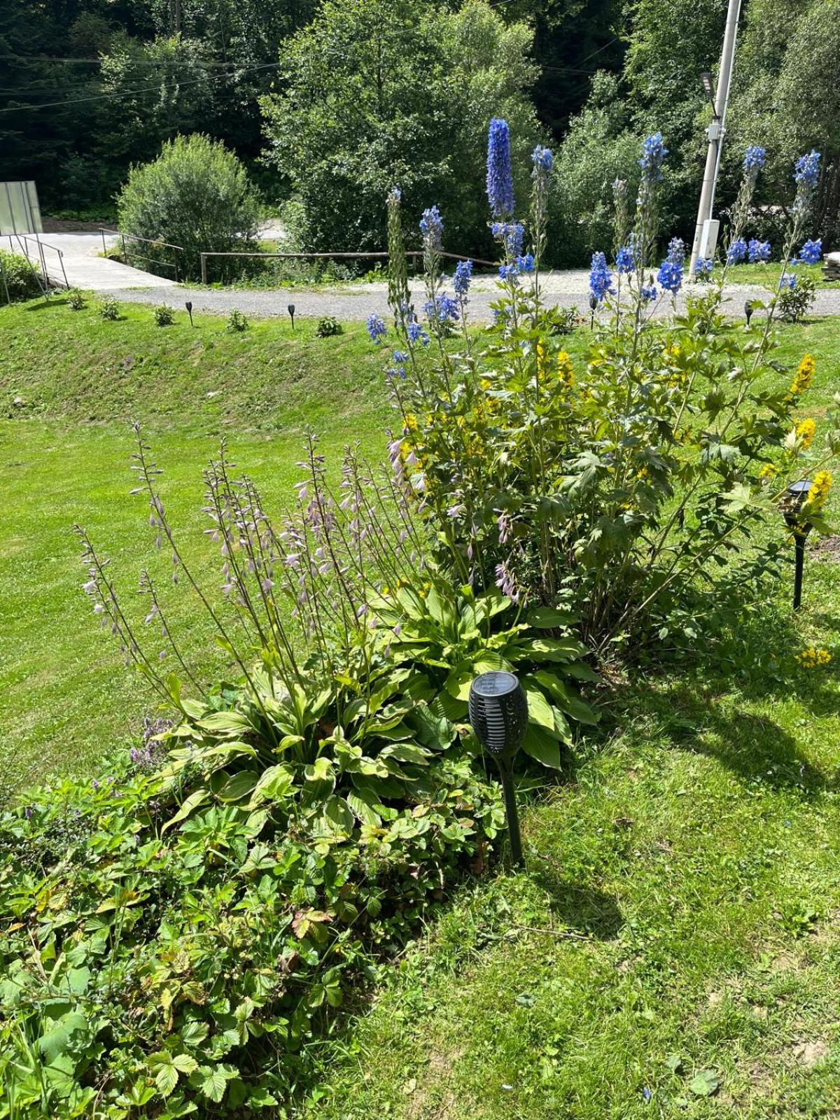 Photo 41