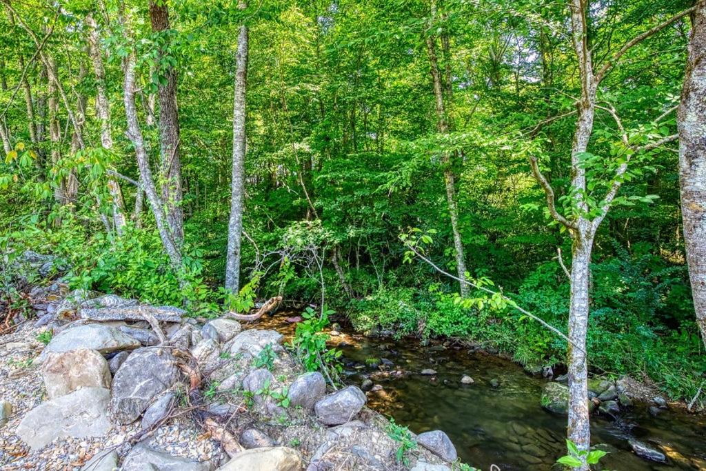 Little Haven Cottage-Pickleball Court, Creek, WIFI, Mountain Views, Starting at 79