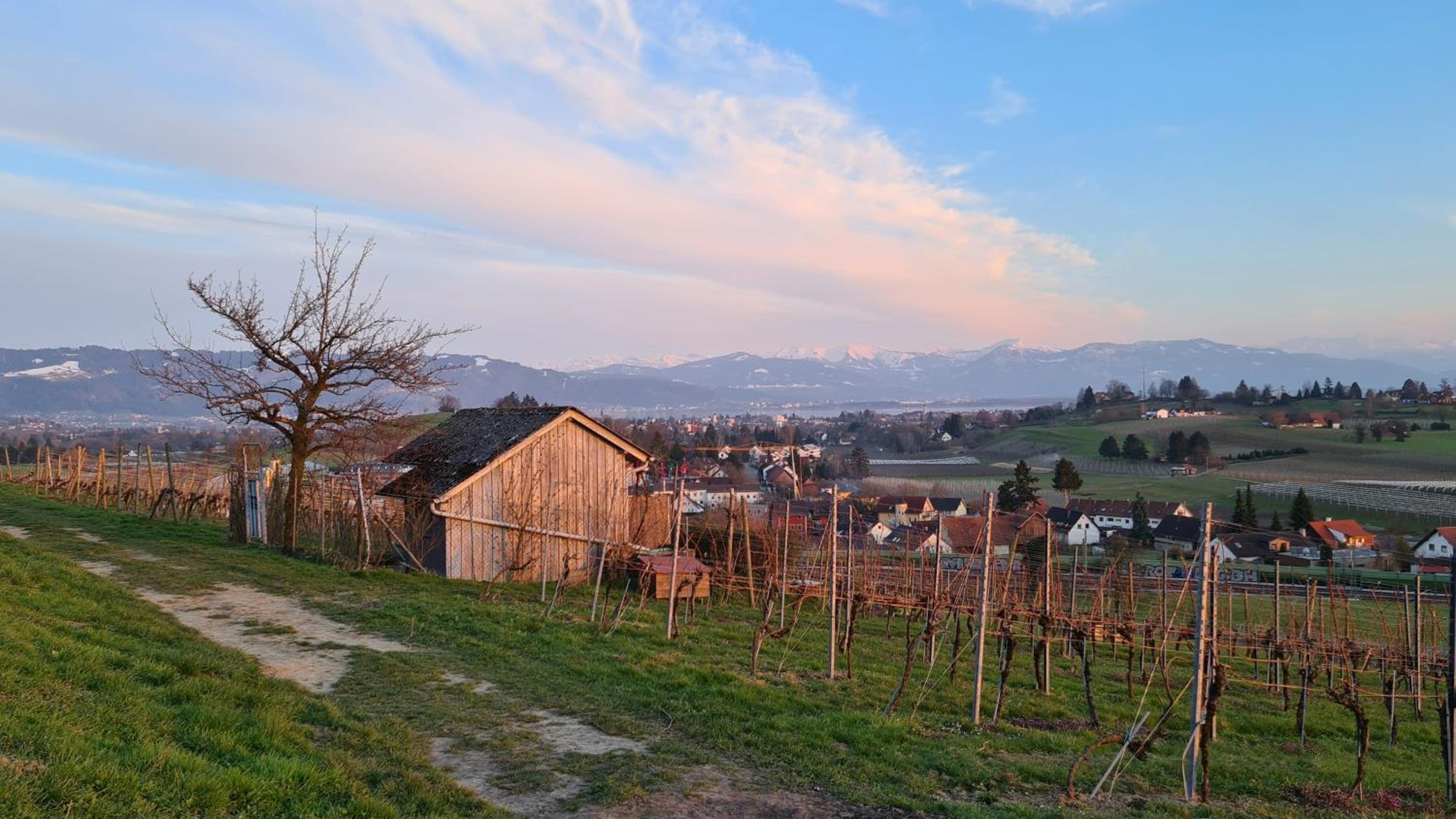 Blütenlodge Bodensee