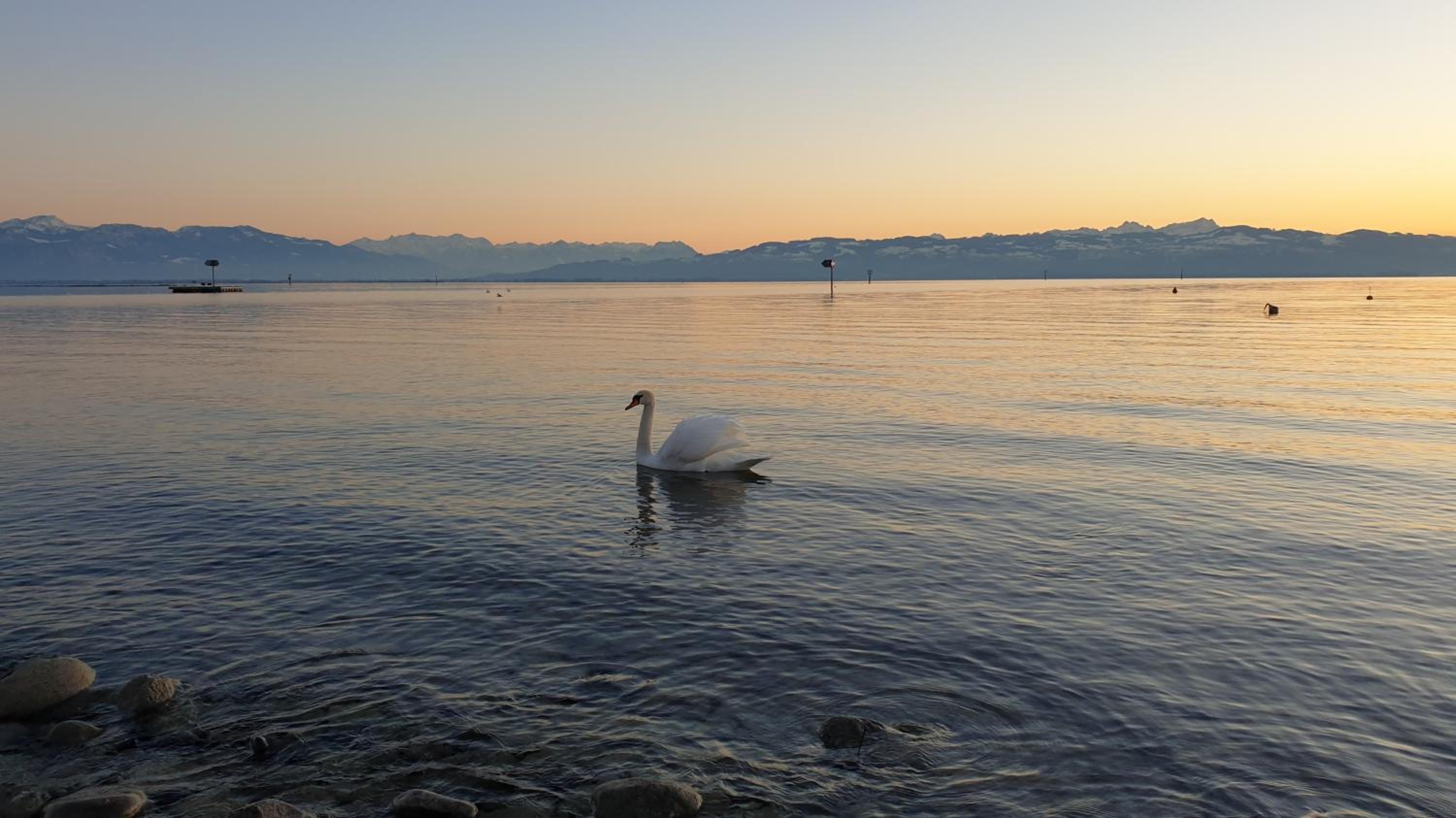 Blütenlodge Bodensee