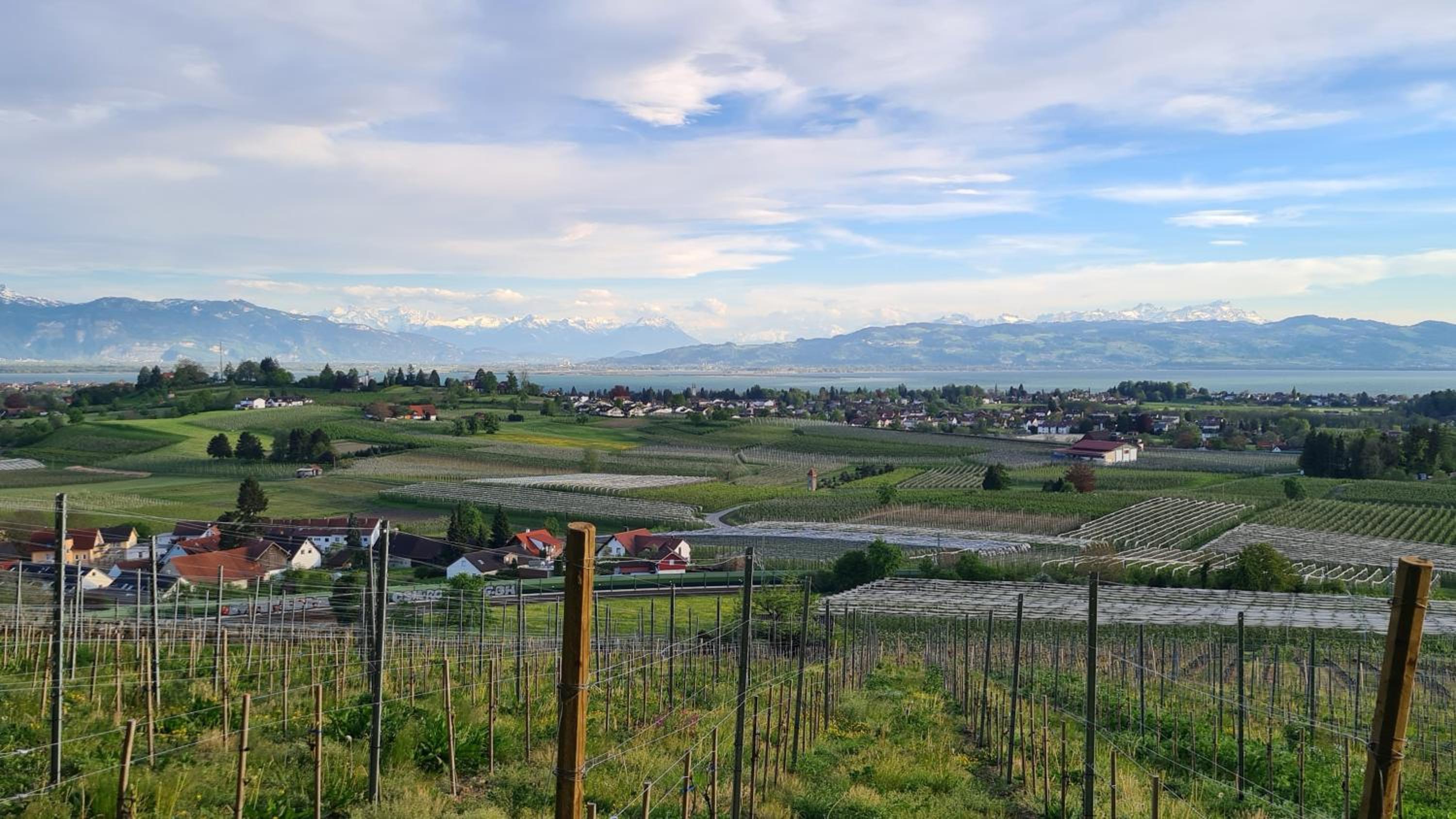 Blütenlodge Bodensee